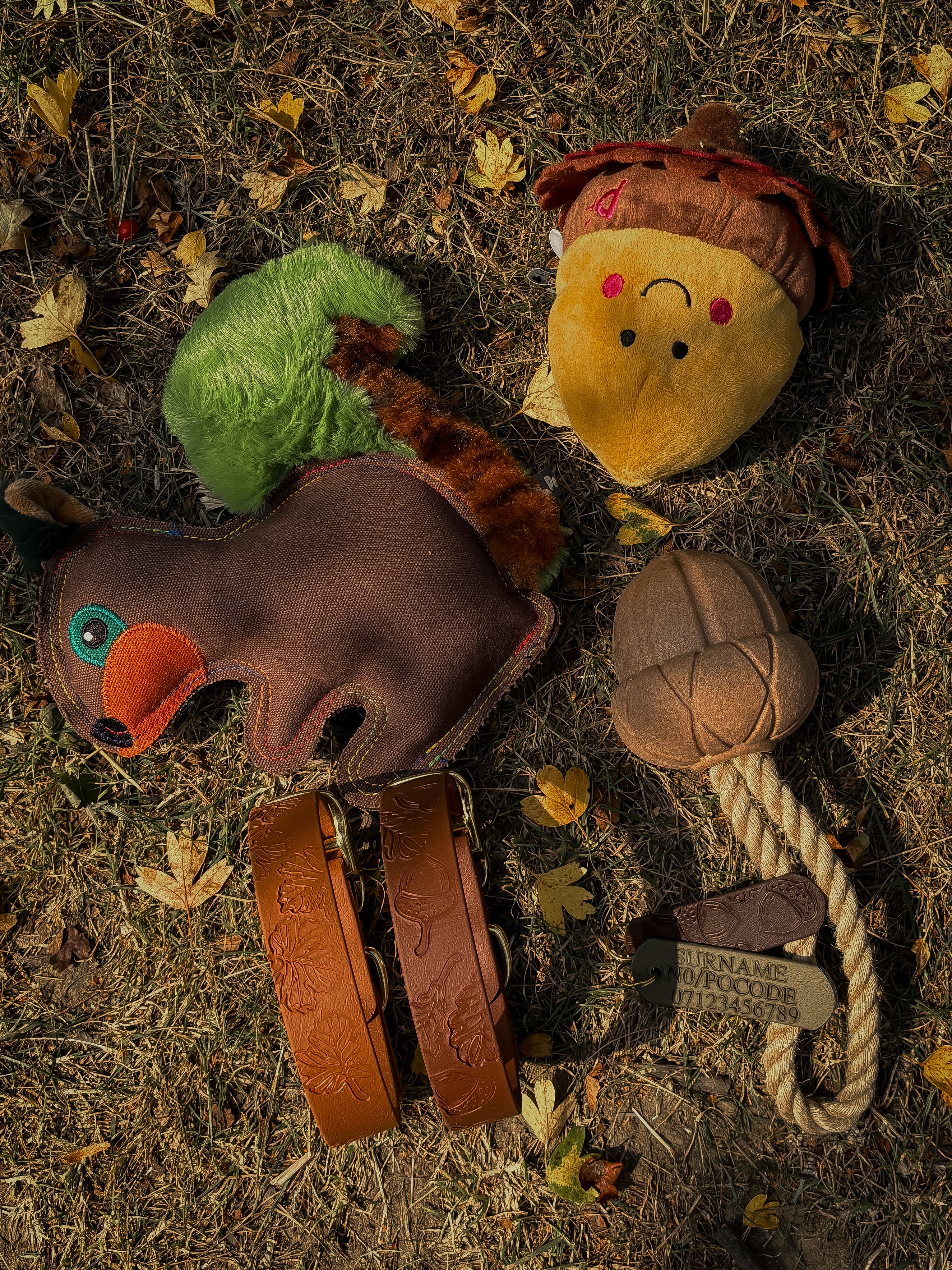 Autumn Collection