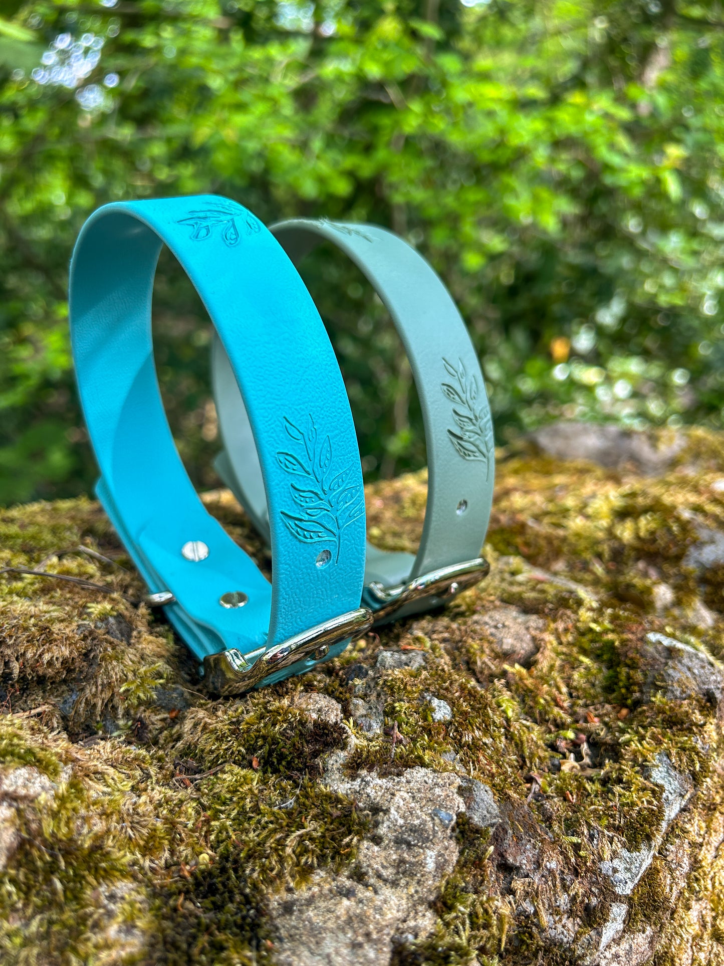 SS25 Colours | Embossed Waterproof Dog Collar