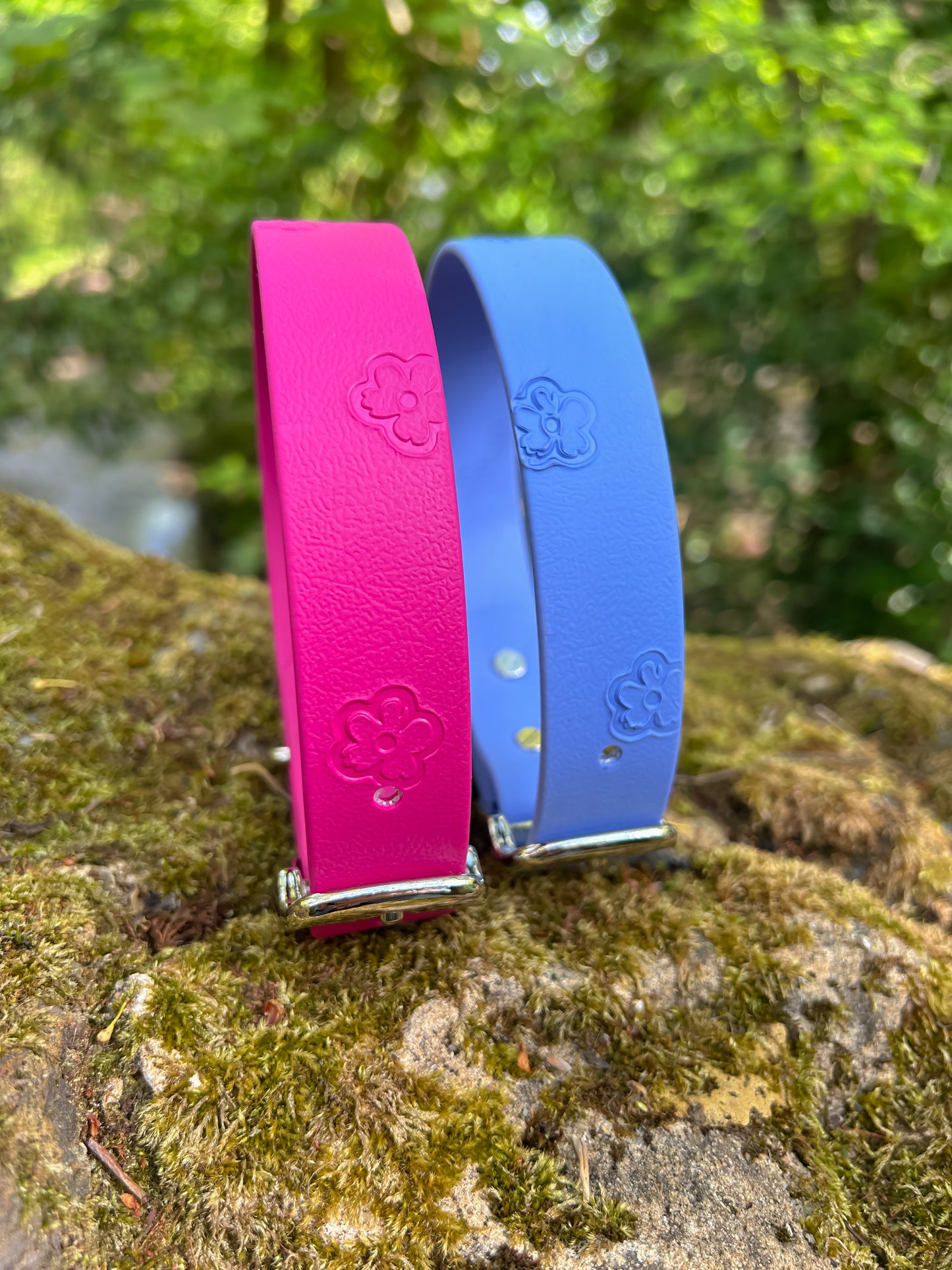 SS25 Colours | Embossed Waterproof Dog Collar