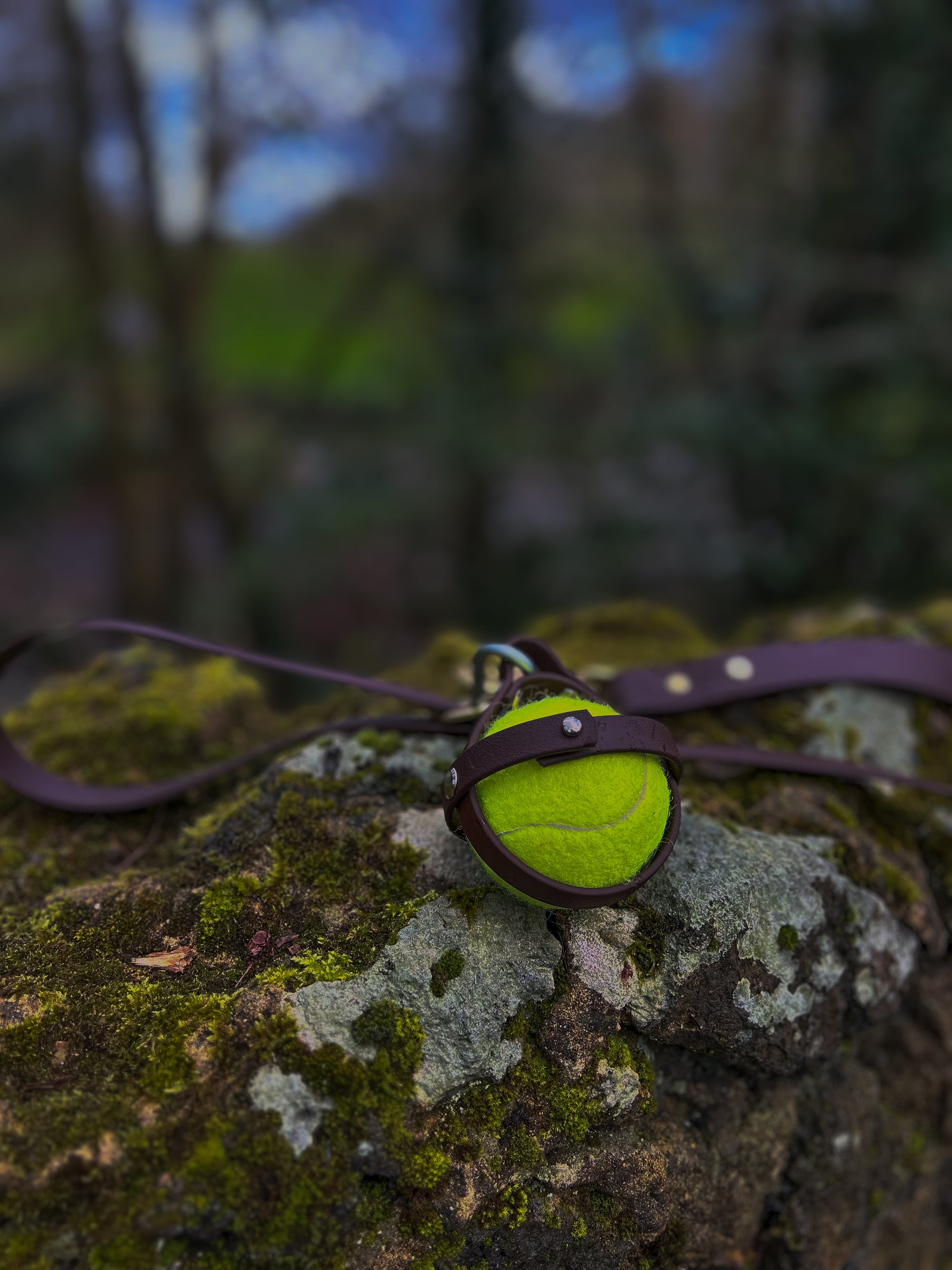 Tennis ball inside a dog ball carrier made with a waterproof webbing to surround it