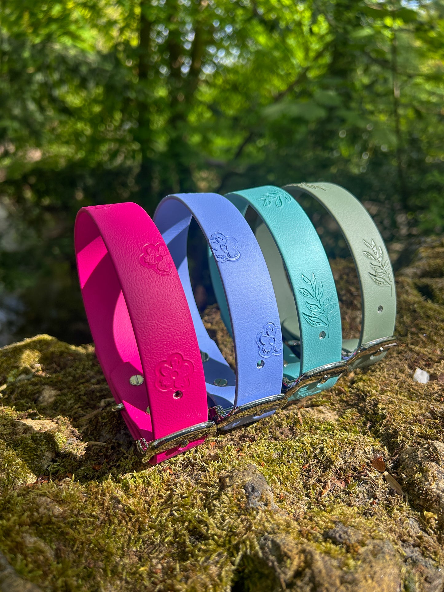 SS25 Colours | Embossed Waterproof Dog Collar