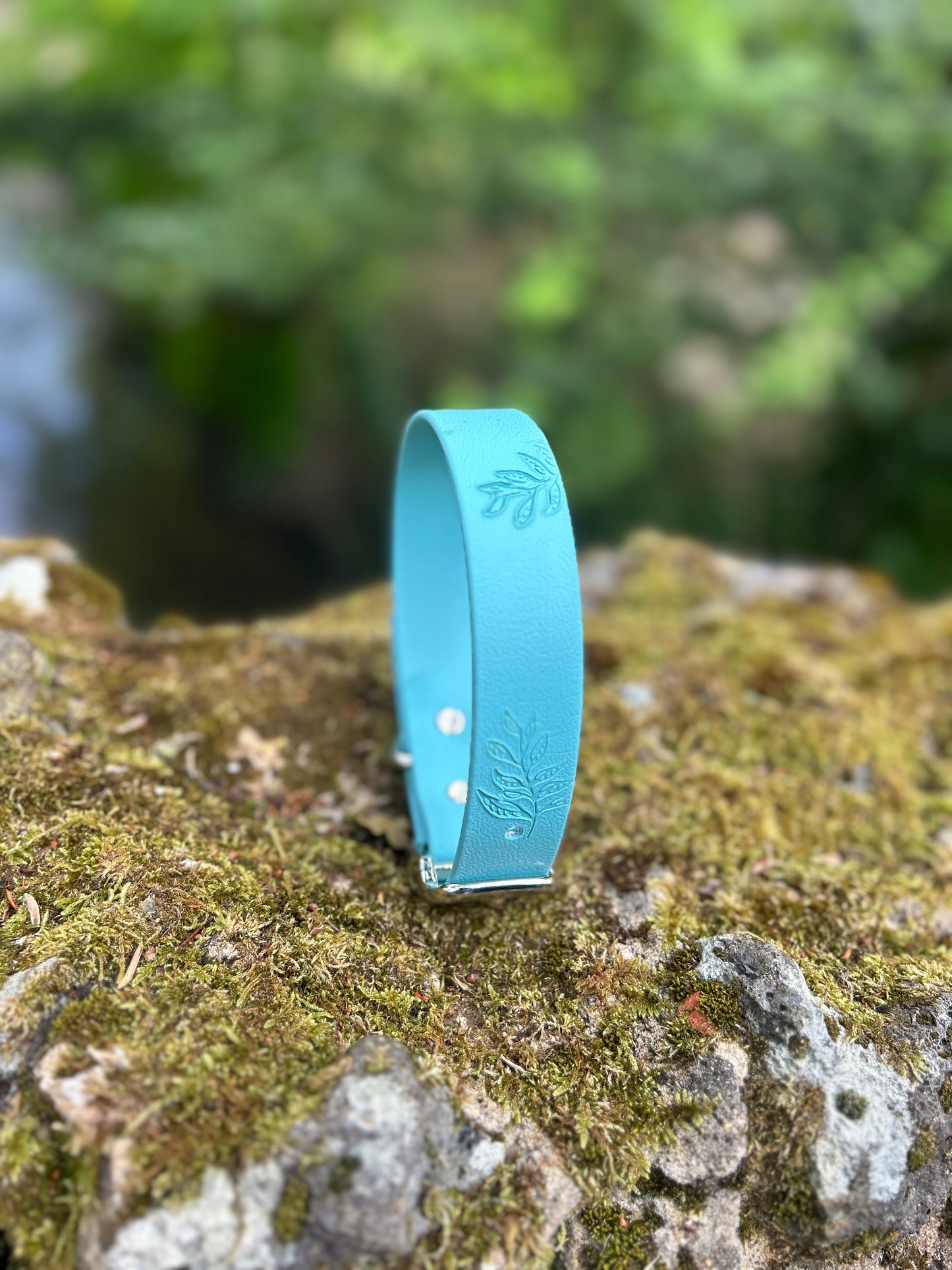 SS25 Colours | Embossed Waterproof Dog Collar