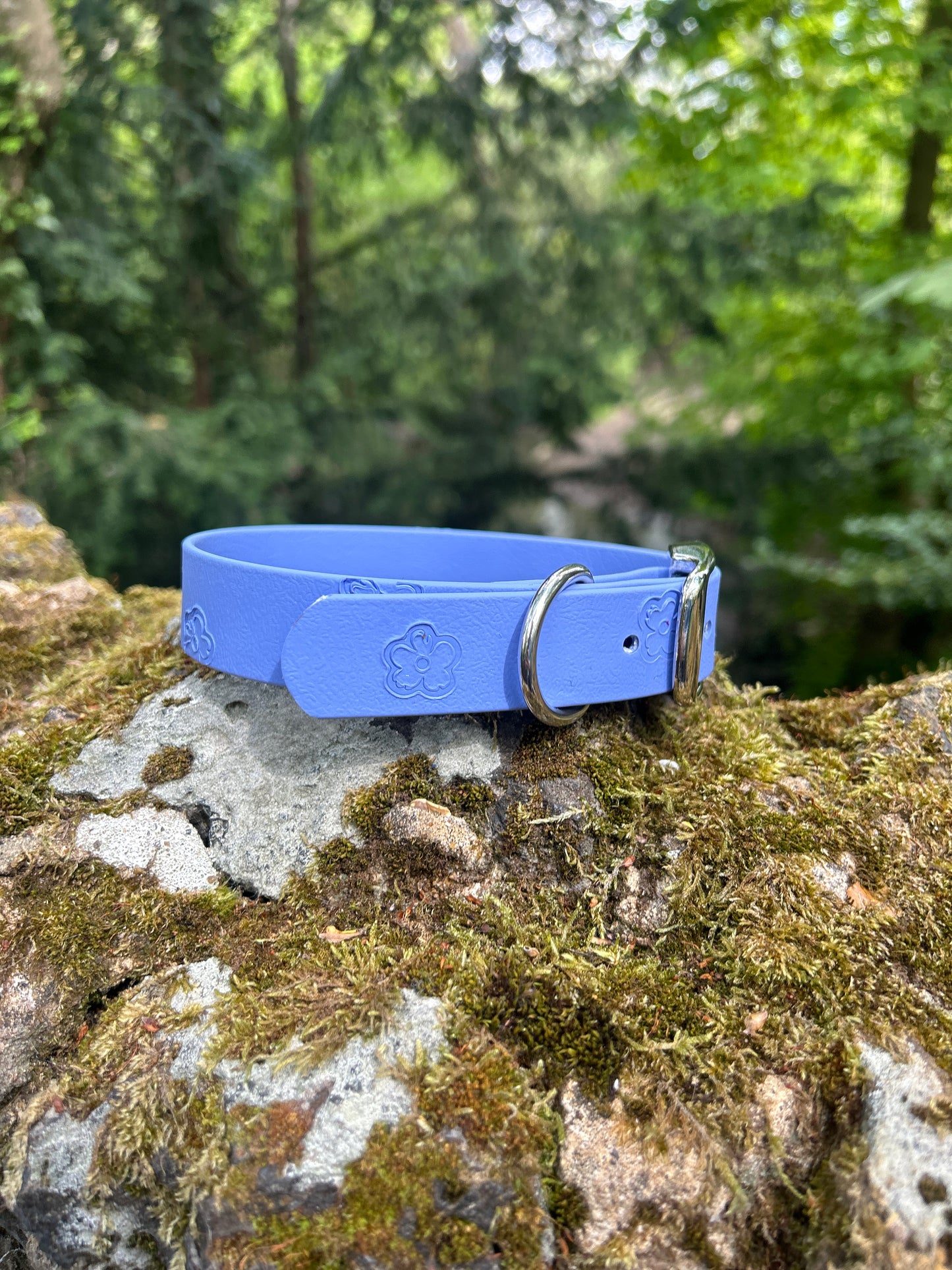 SS25 Colours | Embossed Waterproof Dog Collar