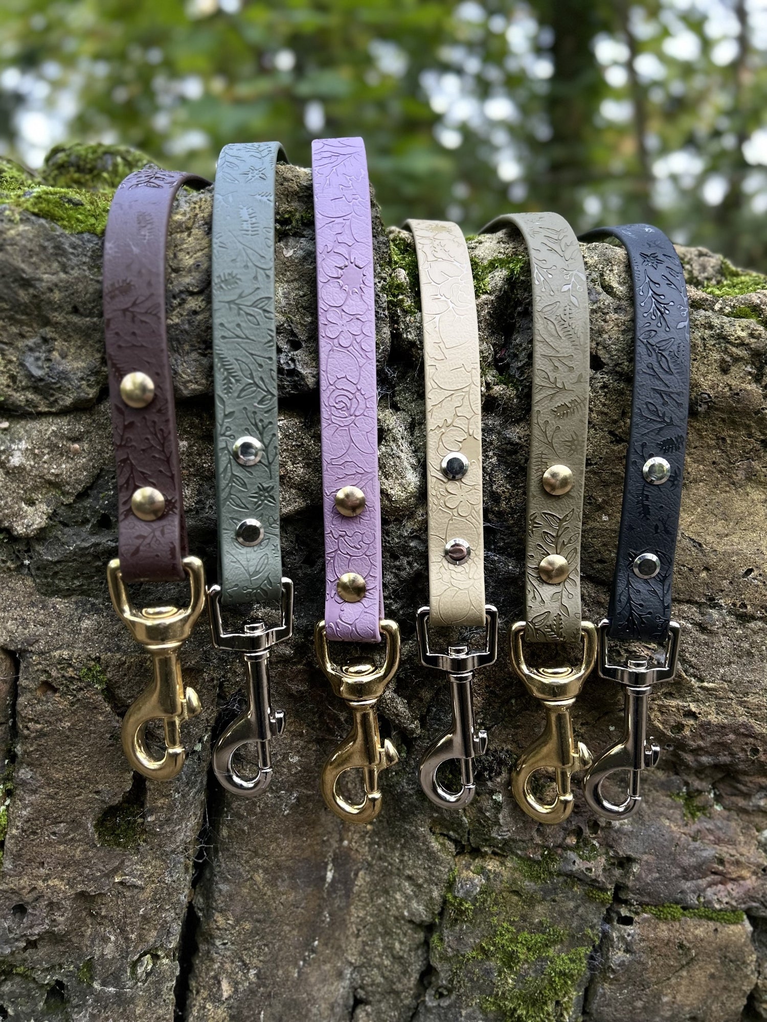 Dog Leads