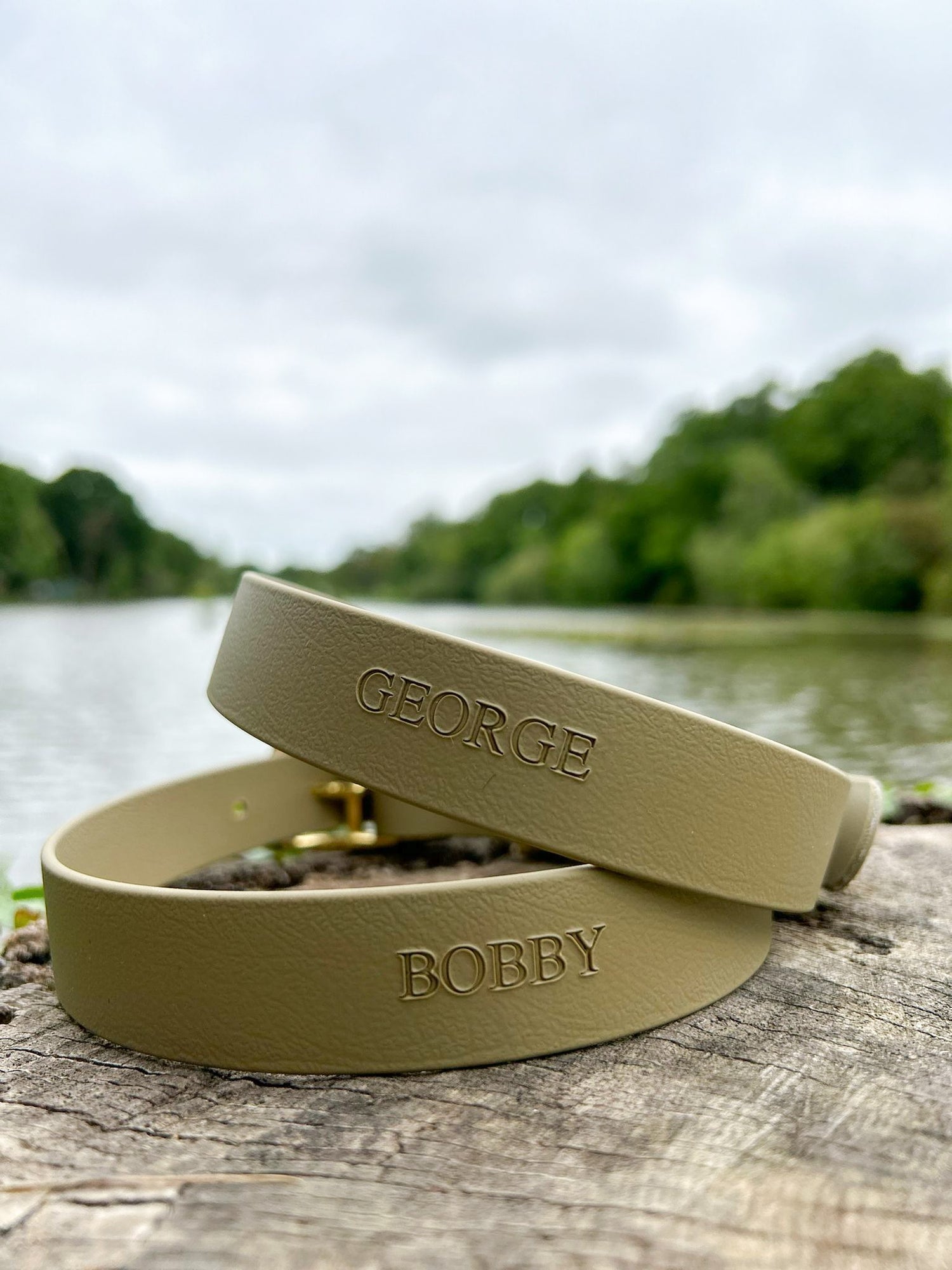 Dog Collars