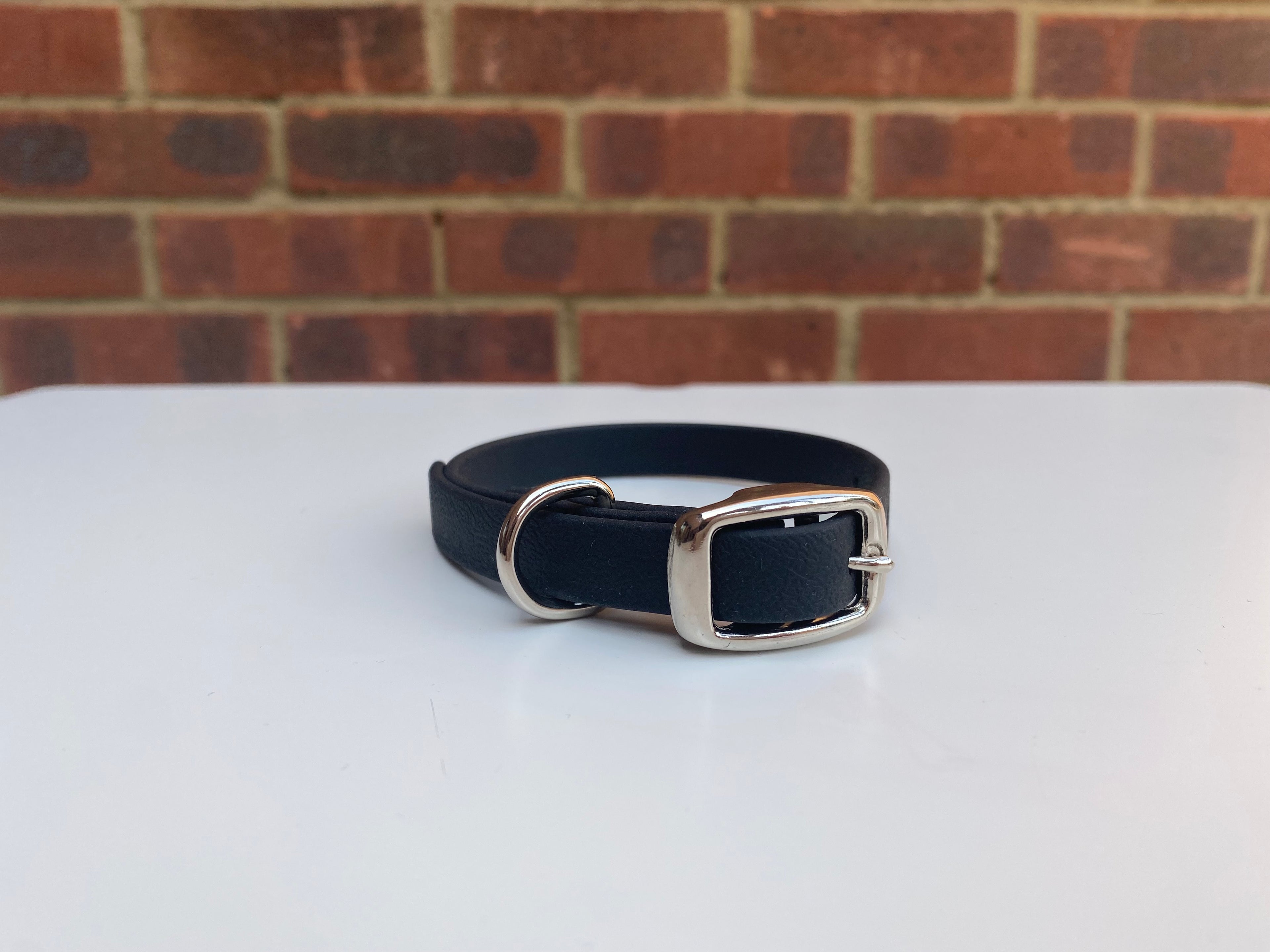 Small Breed / Puppy Collar