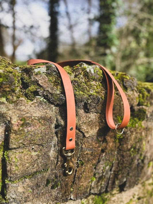 Waterproof Dog Lead