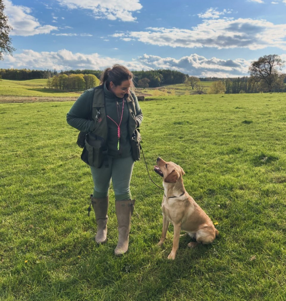 Working Dog Tether Lead | Hands Free