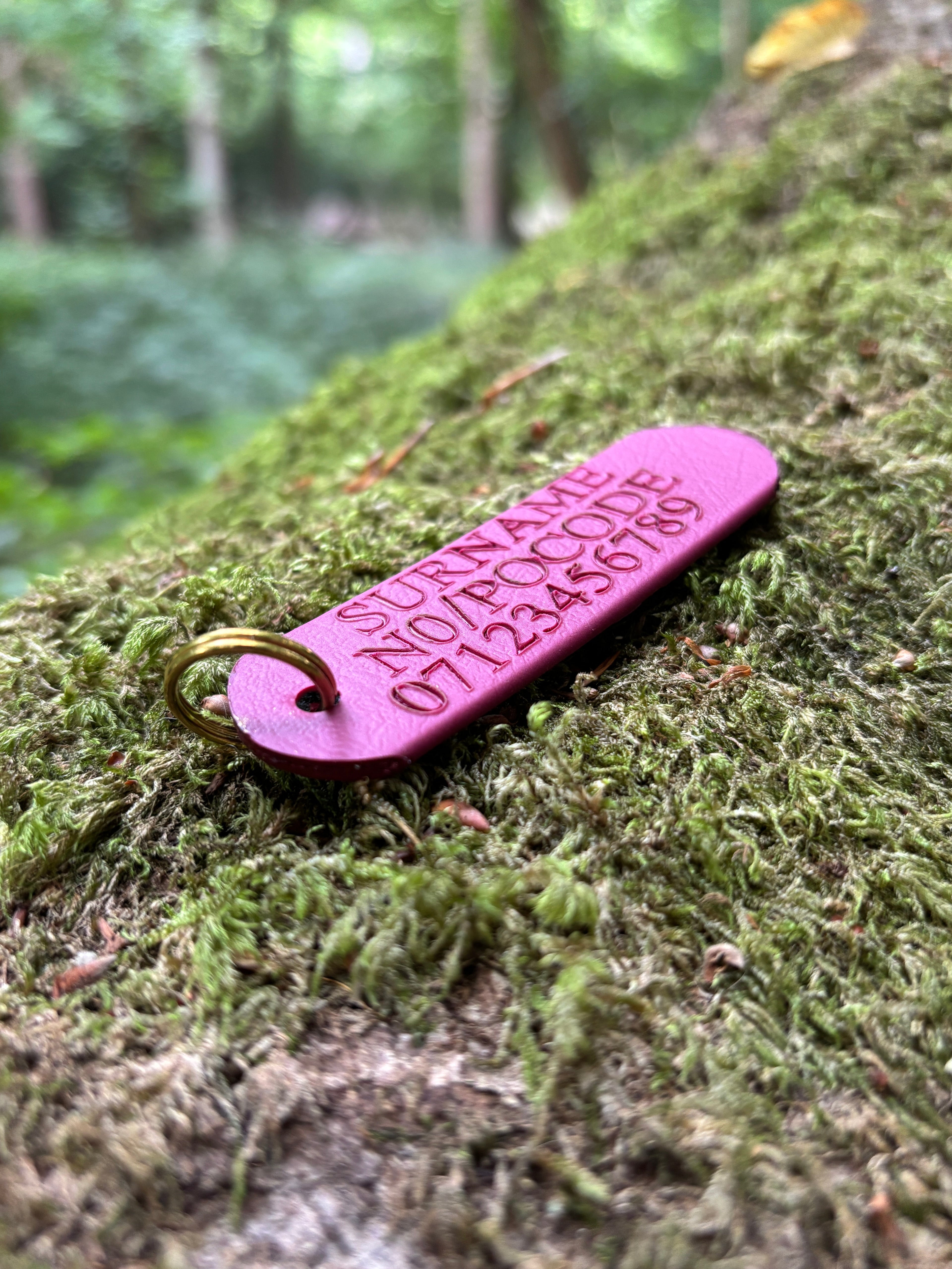 Winter Waterproof Embossed Personalised Dog Tag