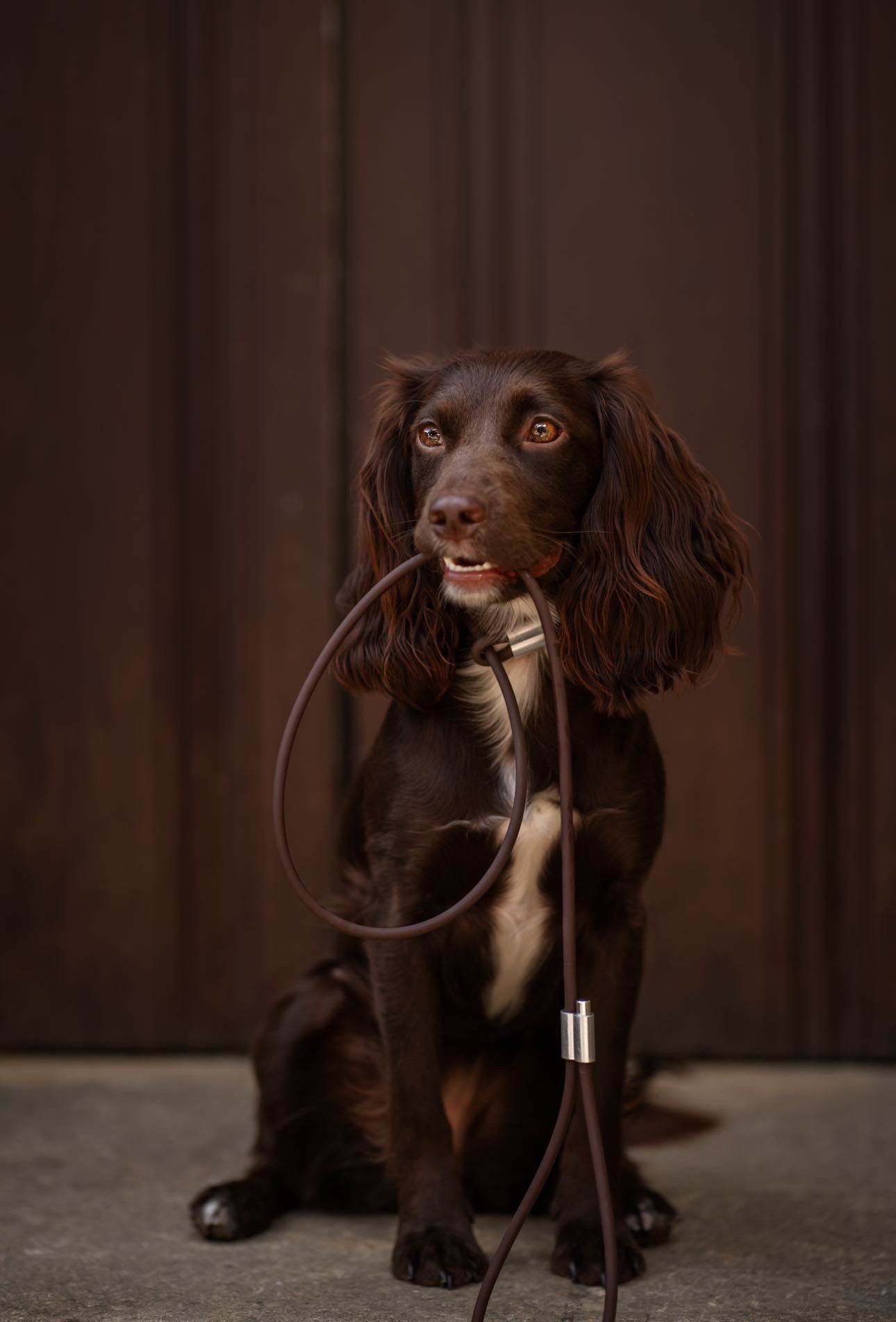 Waterproof Rope Working / Training Dog Slip Lead