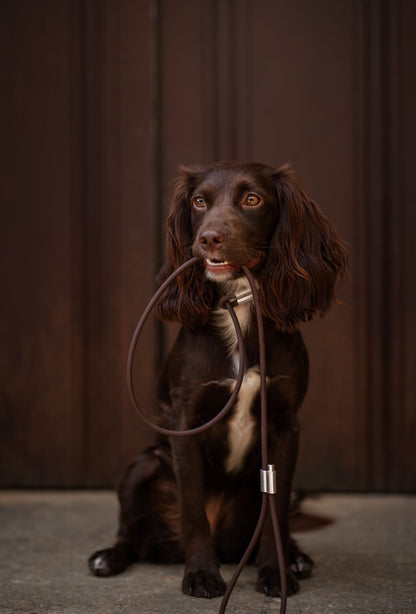 Waterproof Rope Working / Training Dog Slip Lead