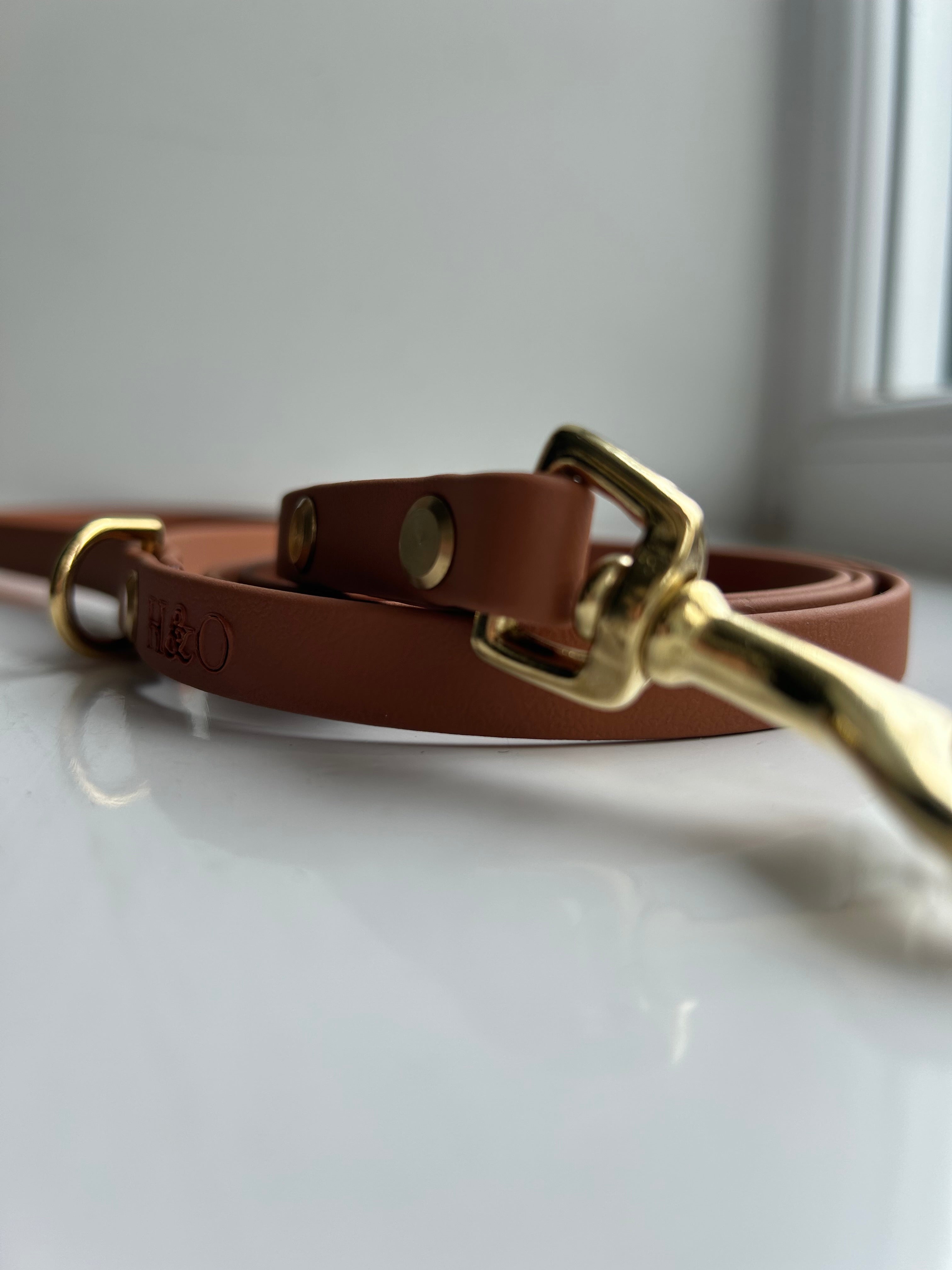 Lightweight Waterproof Dog Lead | Personalise Dog Name