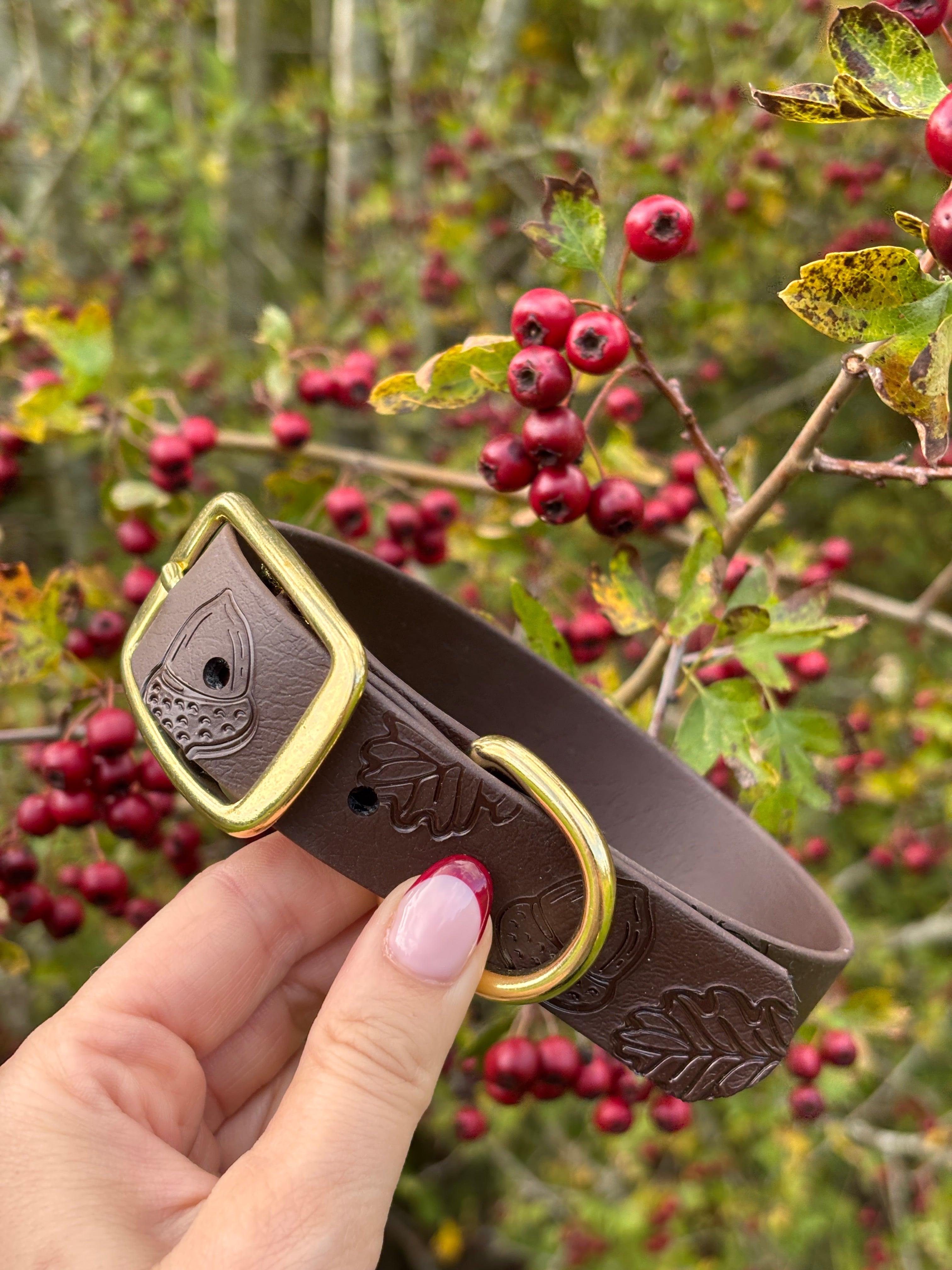 Autumn Embossed Waterproof Dog Collar Hound and Out