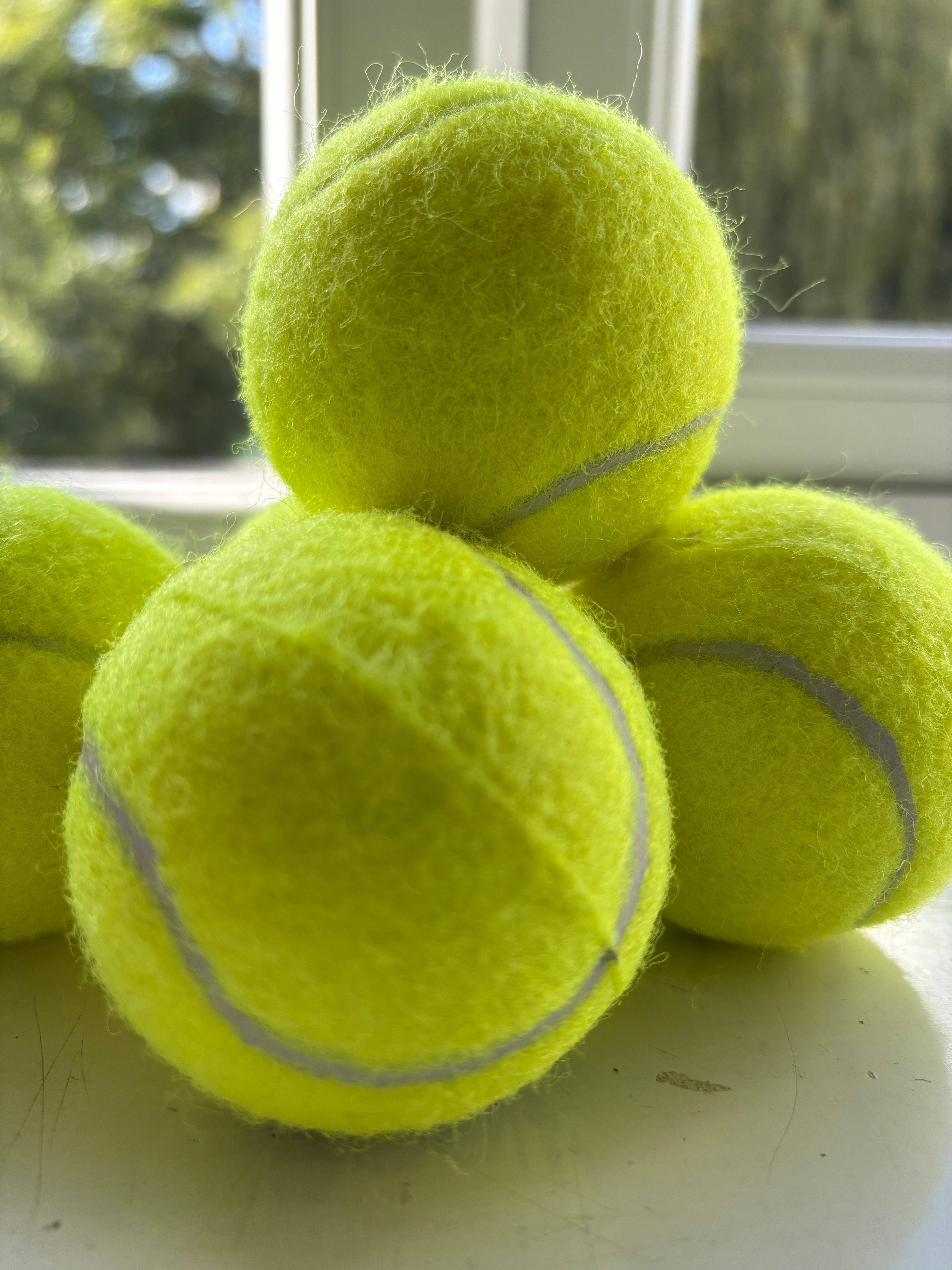 Dog PetFace Tennis Ball