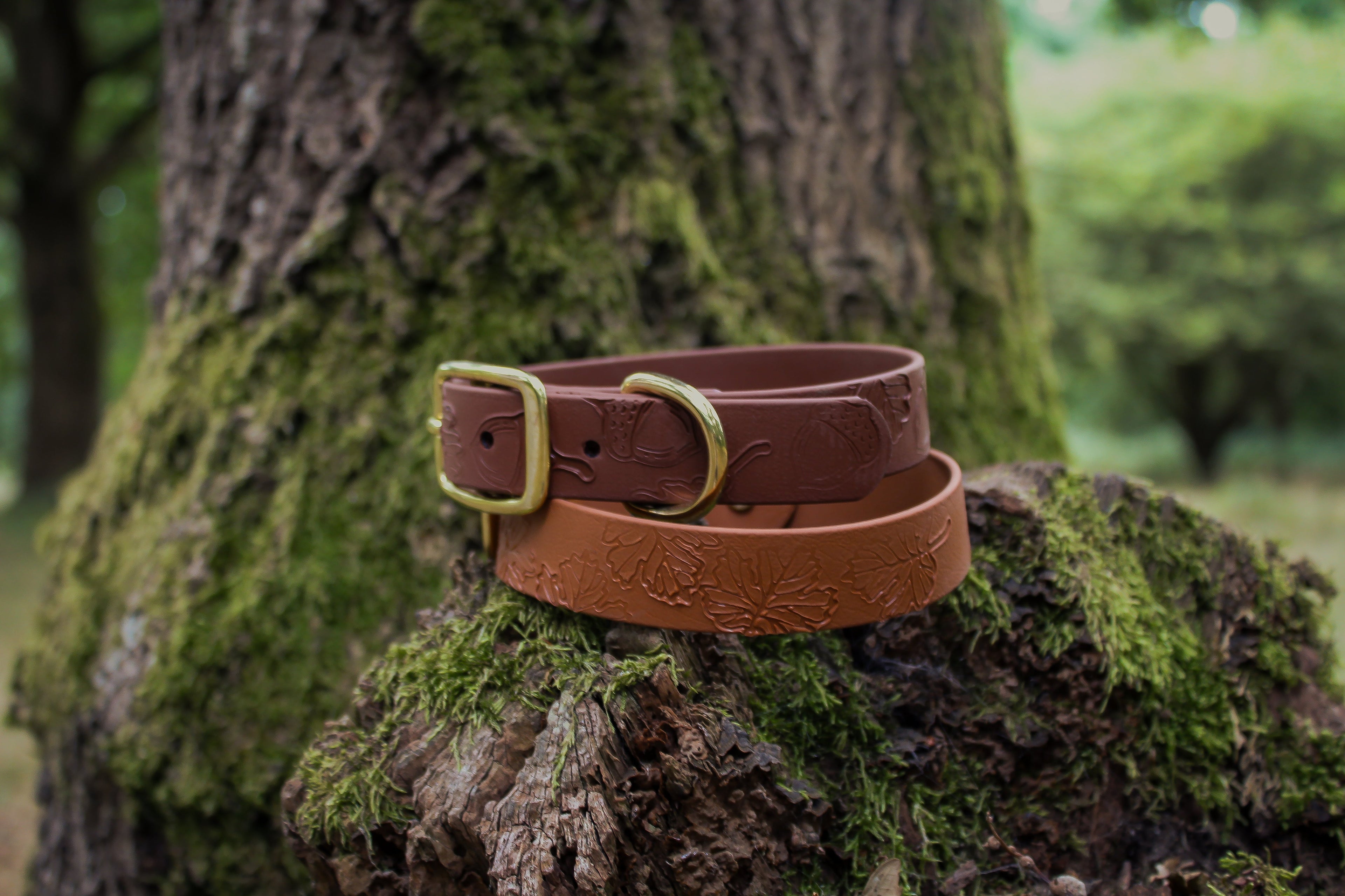 Autumn Embossed Waterproof Dog Collar Hound and Out