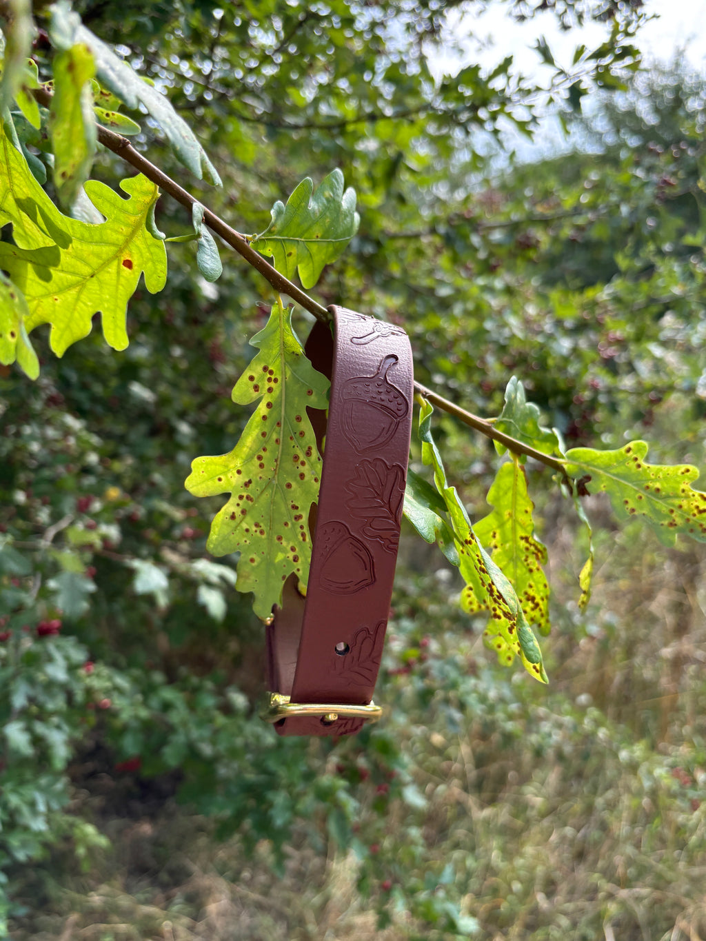 Autumn Embossed Waterproof Dog Collar