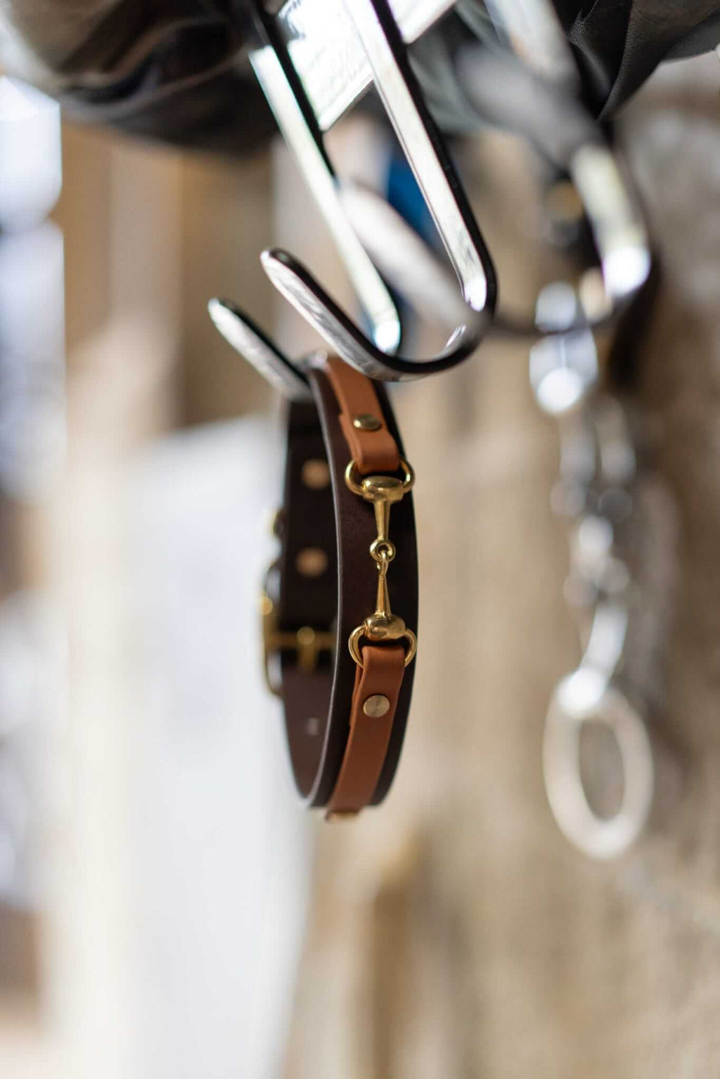 The Derby Dog Collar Hound and Out
