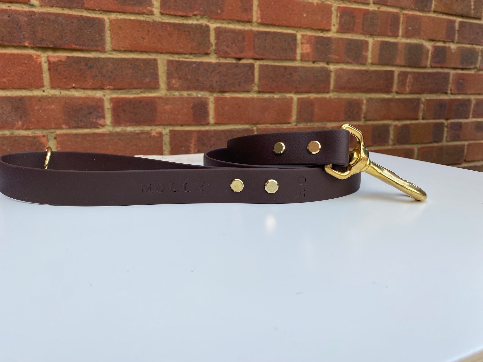 Waterproof Dog Lead