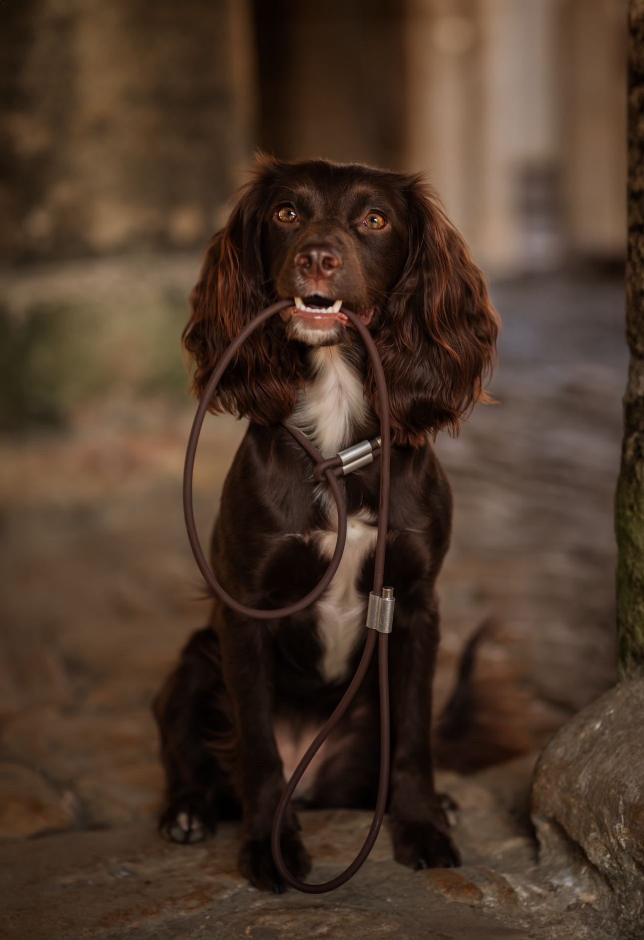 Waterproof Rope Working / Training Dog Slip Lead