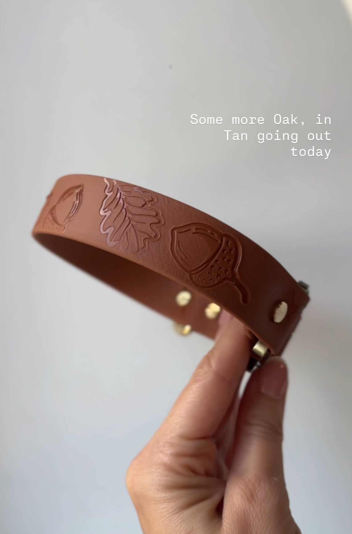 Autumn Embossed Waterproof Dog Collar