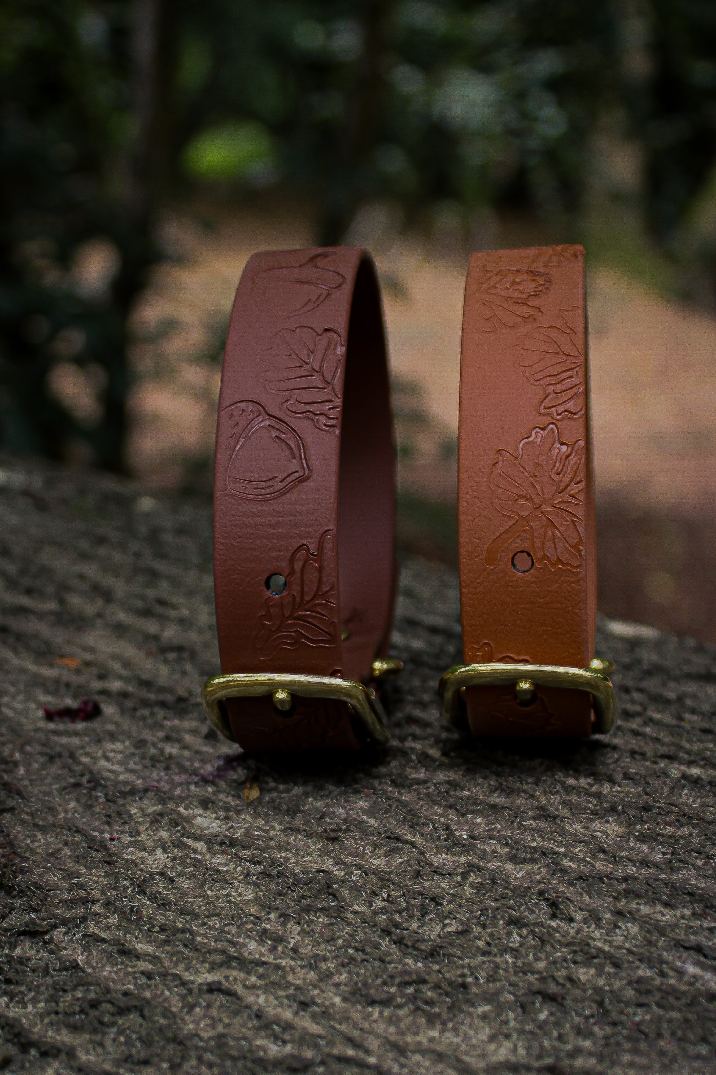 Autumn Embossed Waterproof Dog Collar Hound and Out