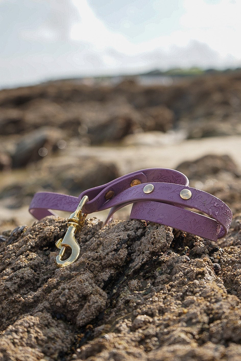 Embossed Waterproof Dog Lead