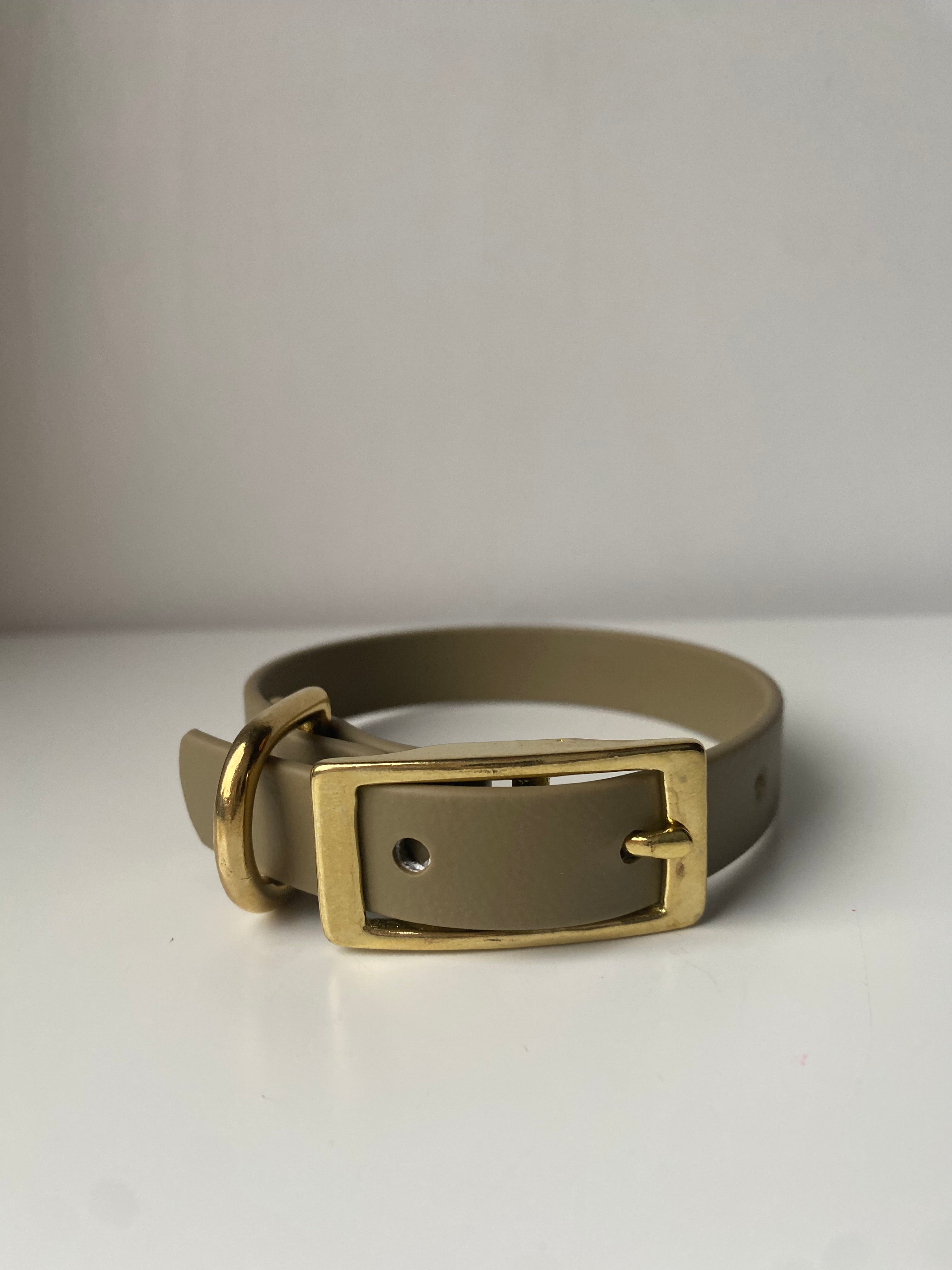 Small Breed / Puppy Collar