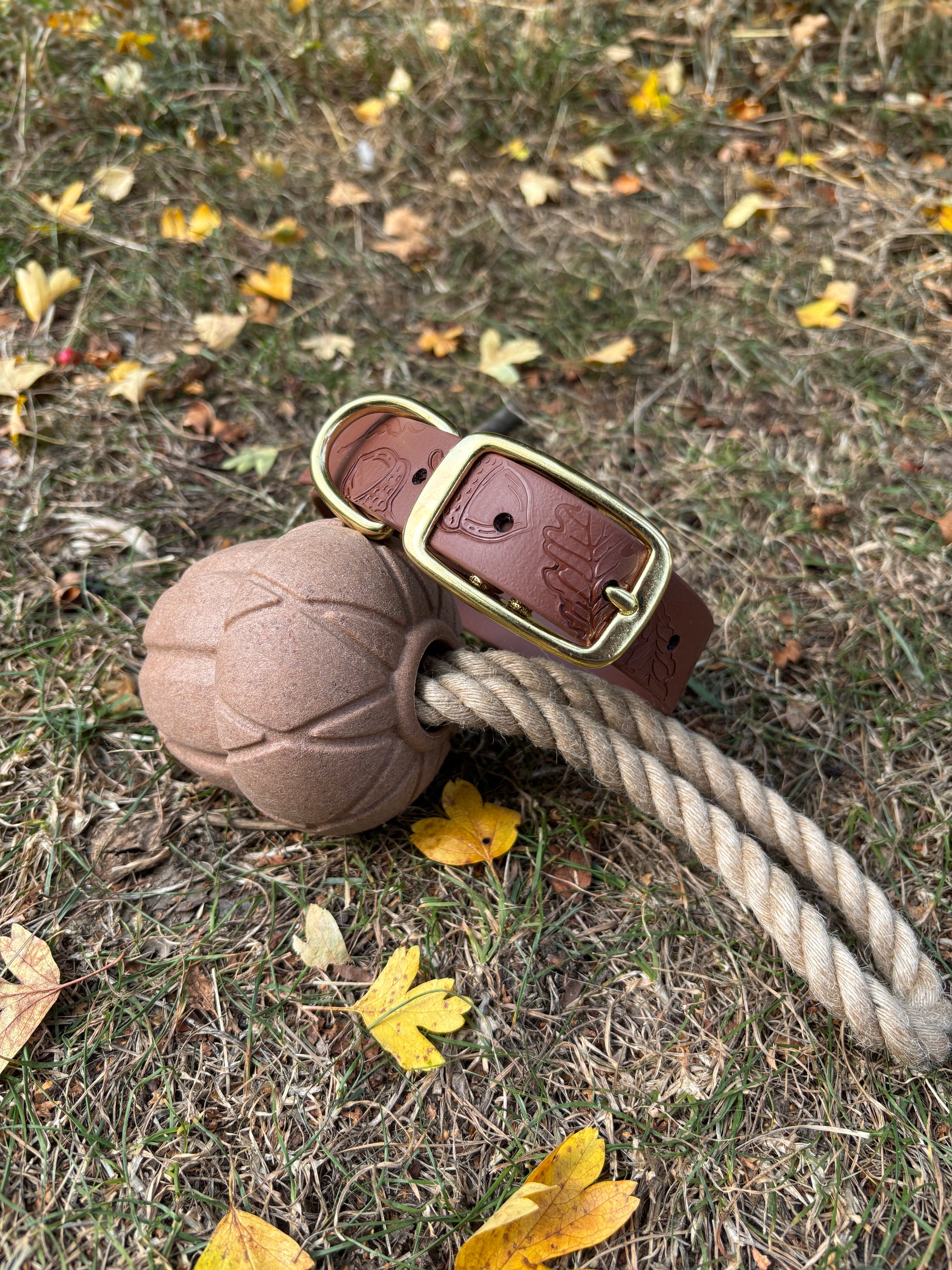 Autumn Embossed Waterproof Dog Collar