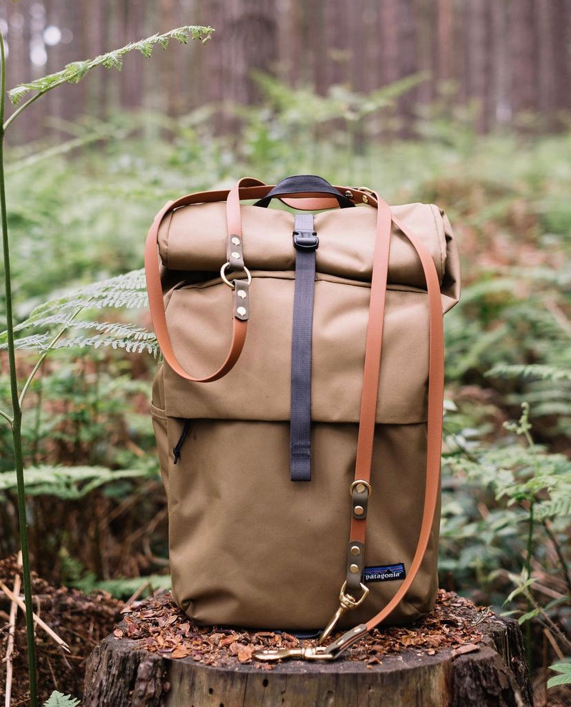 Multiway dog lead in tan with khaki accent colours sitting in a woodland on top of a hiking bag.
