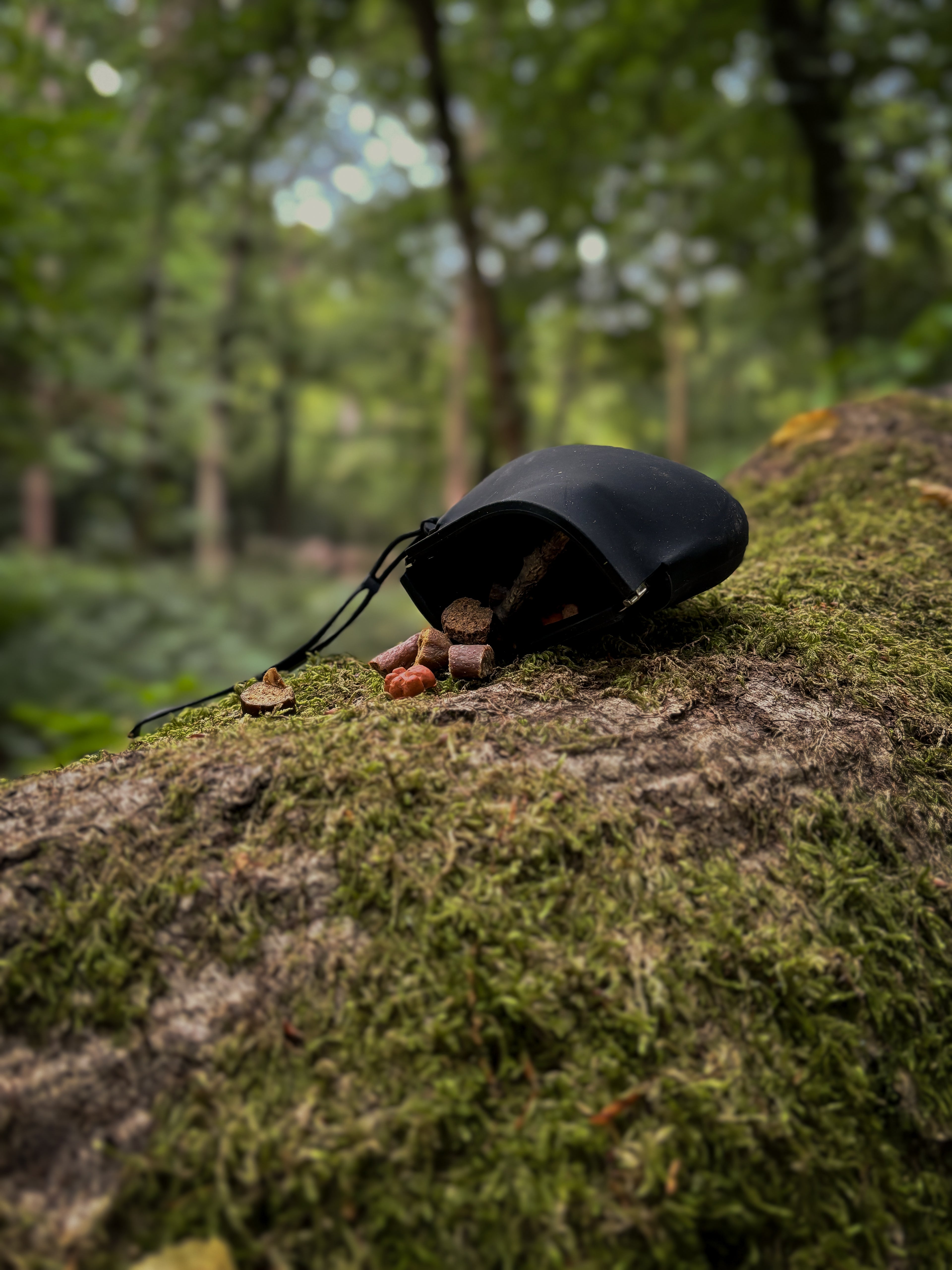Waterproof Treat Bag