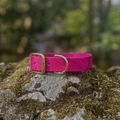 SS25 Colours | Embossed Waterproof Dog Collar