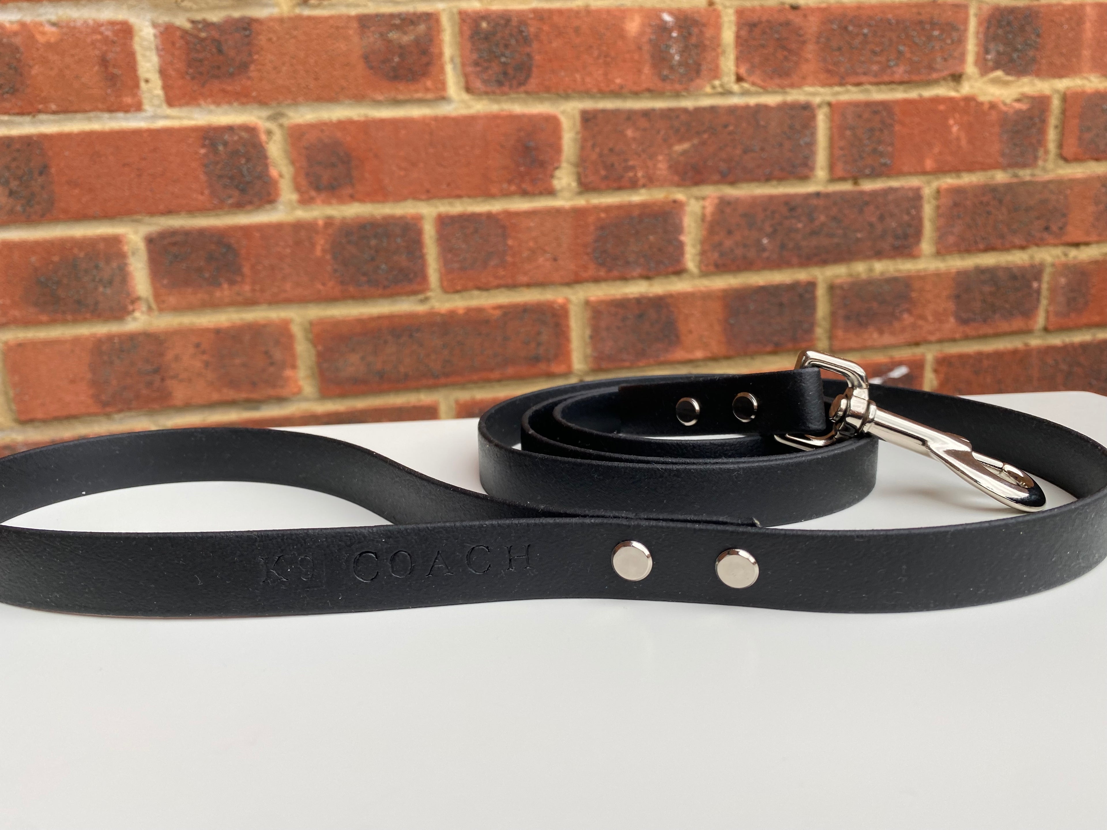 Firm Grip Waterproof Dog Training Lead