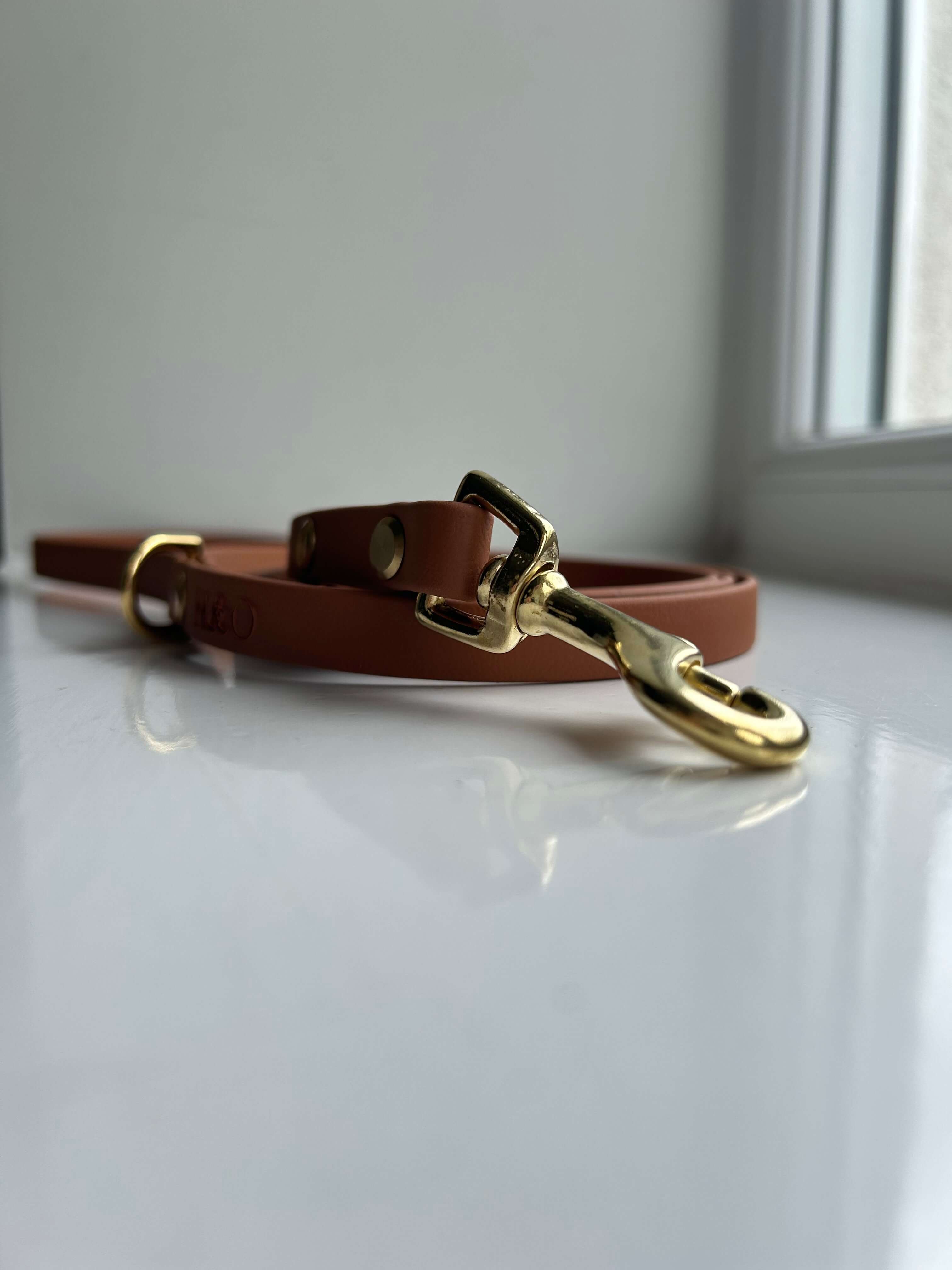 Lightweight Waterproof Dog Lead | Personalise Dog Name