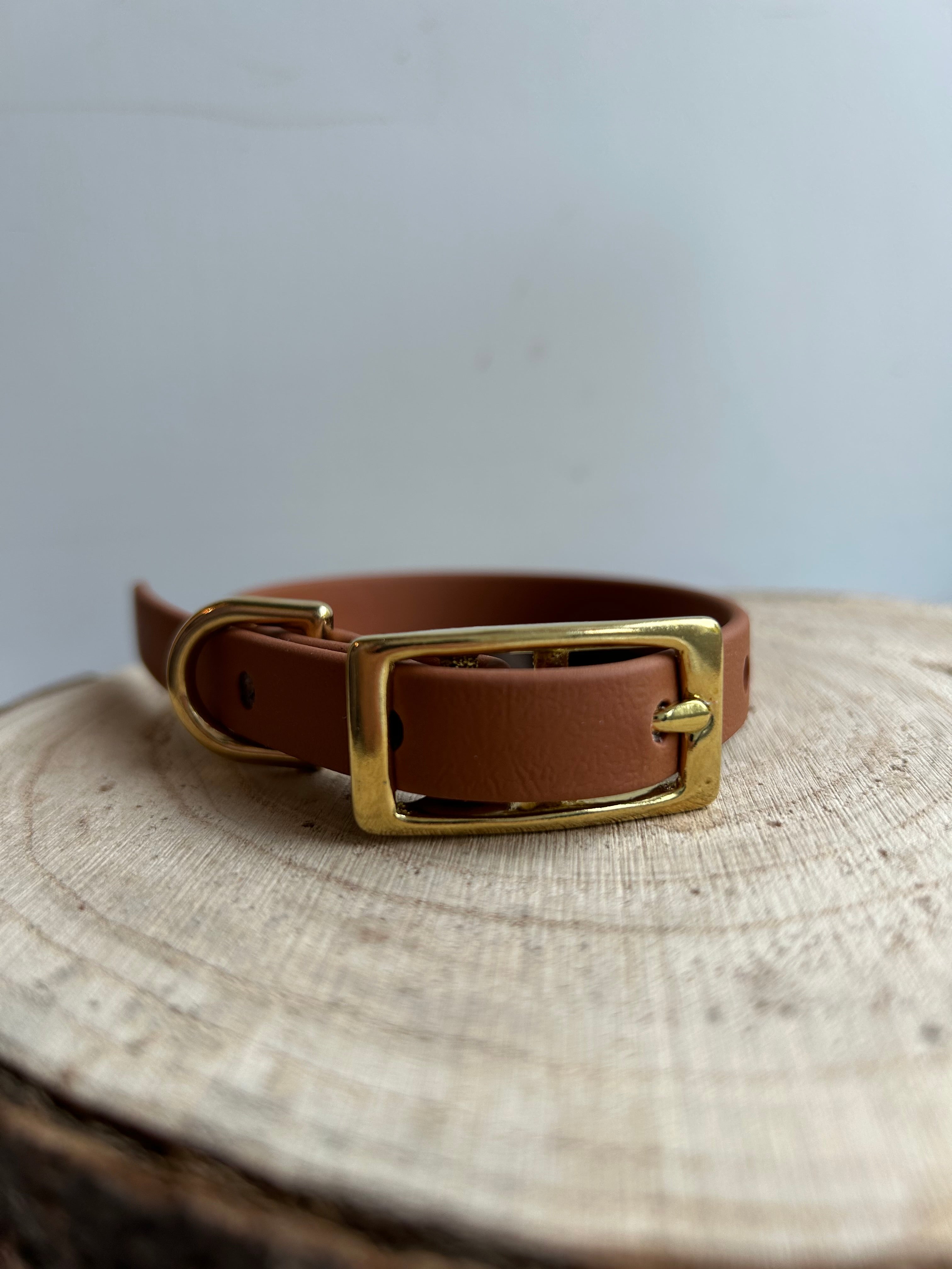 Small Breed / Puppy Collar