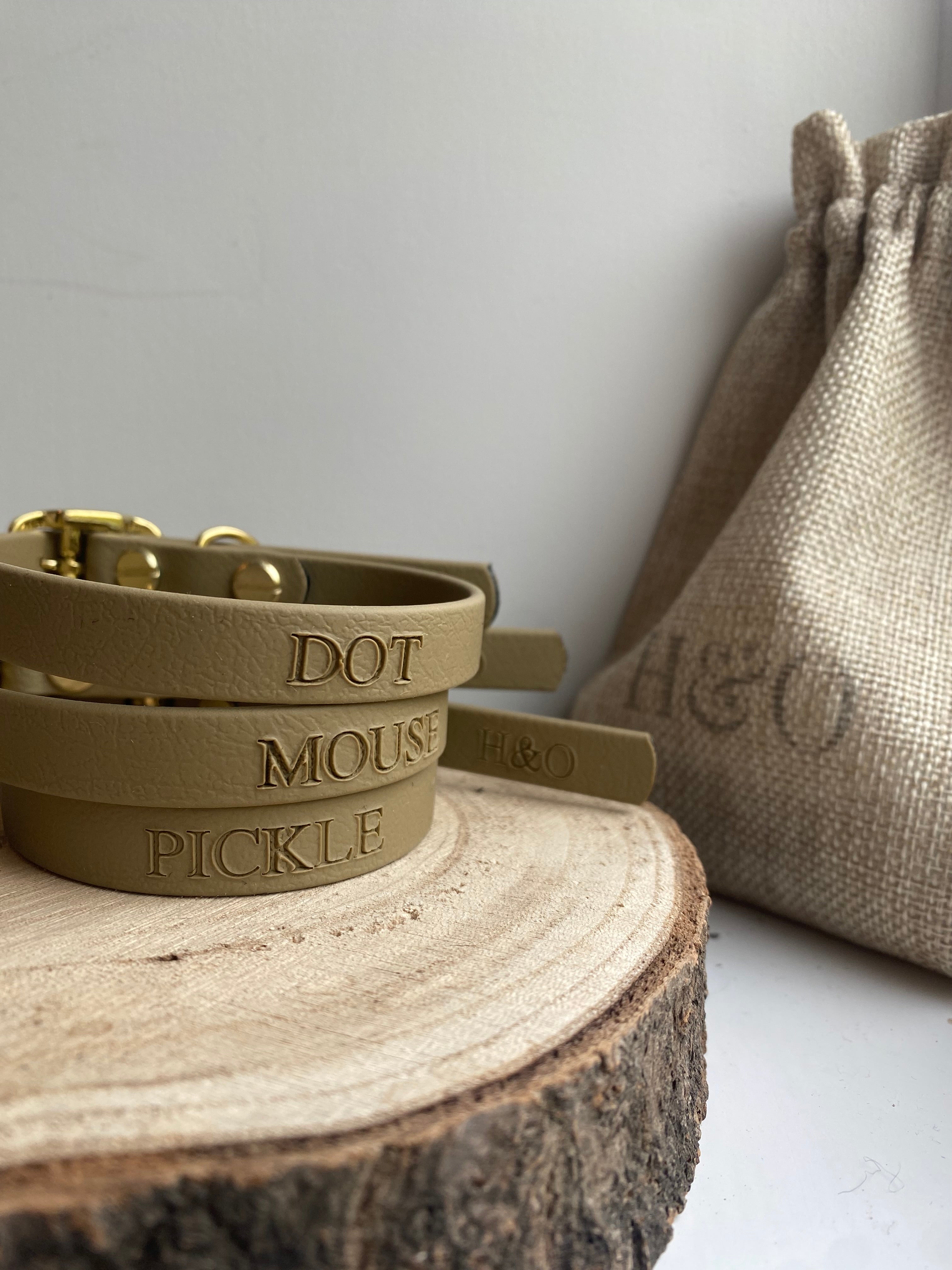 Small Breed / Puppy Collar