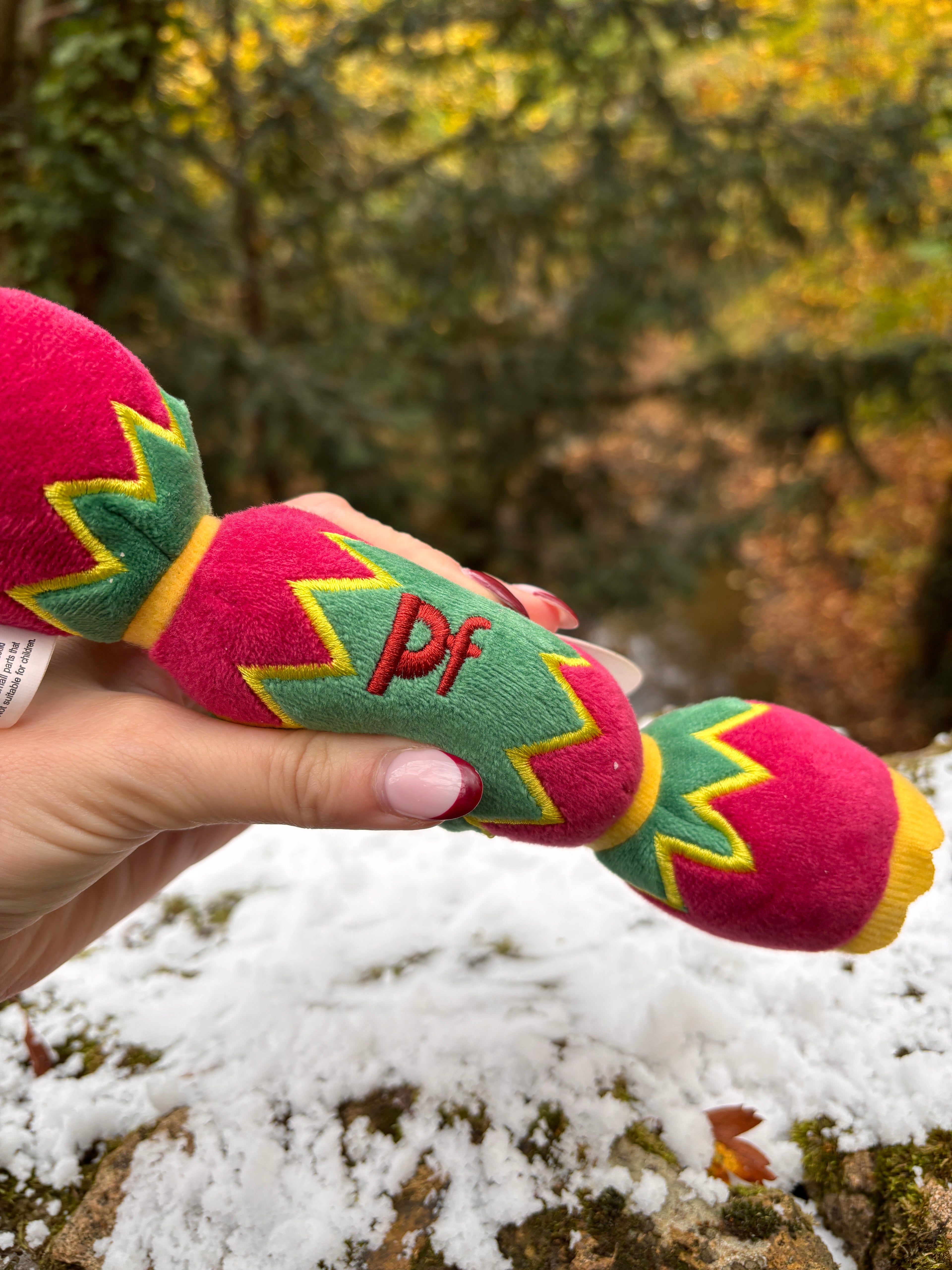 Winter Dog Toys