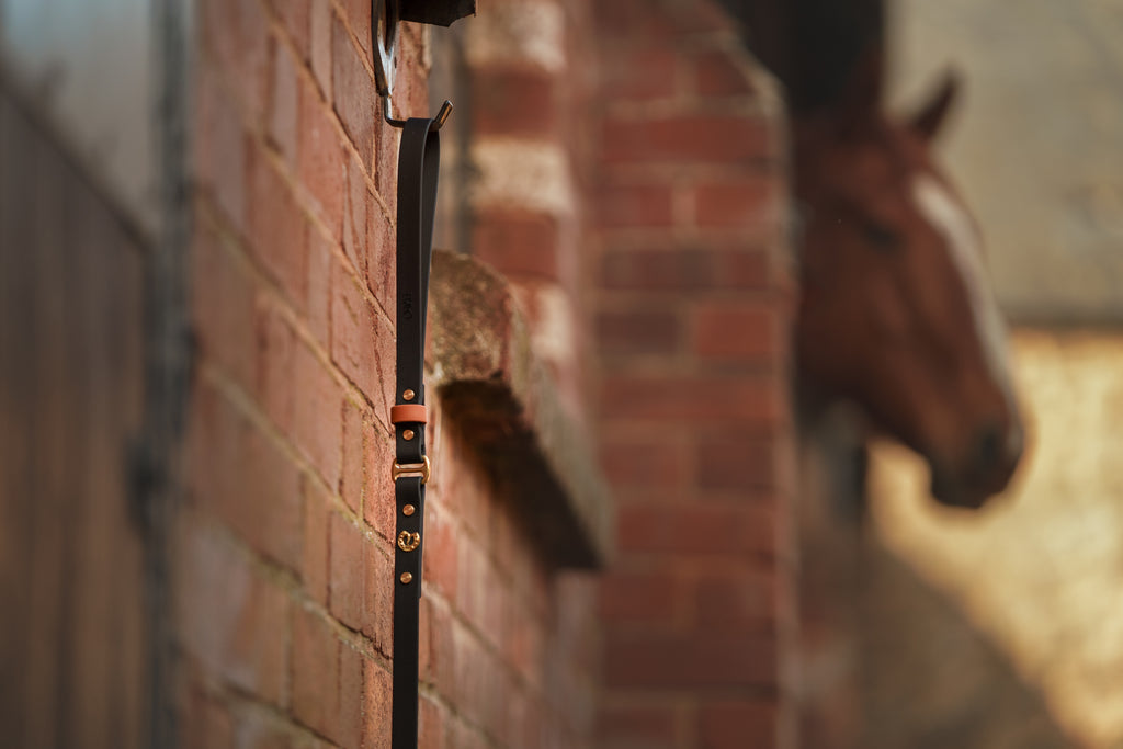 The Derby Dog Lead - Luxury Equestrian Dog Accessories