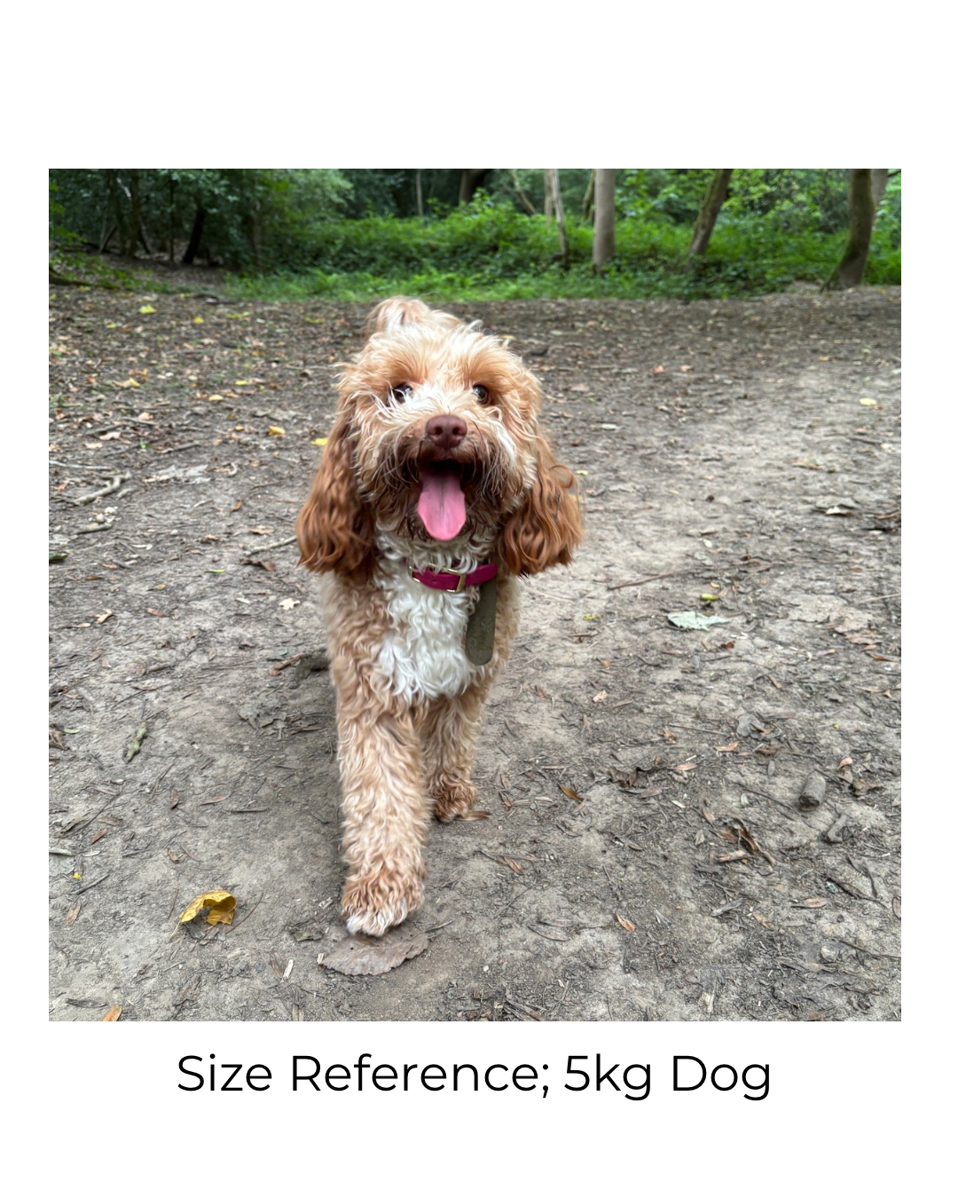 Waterproof Embossed Personalised Dog Tag