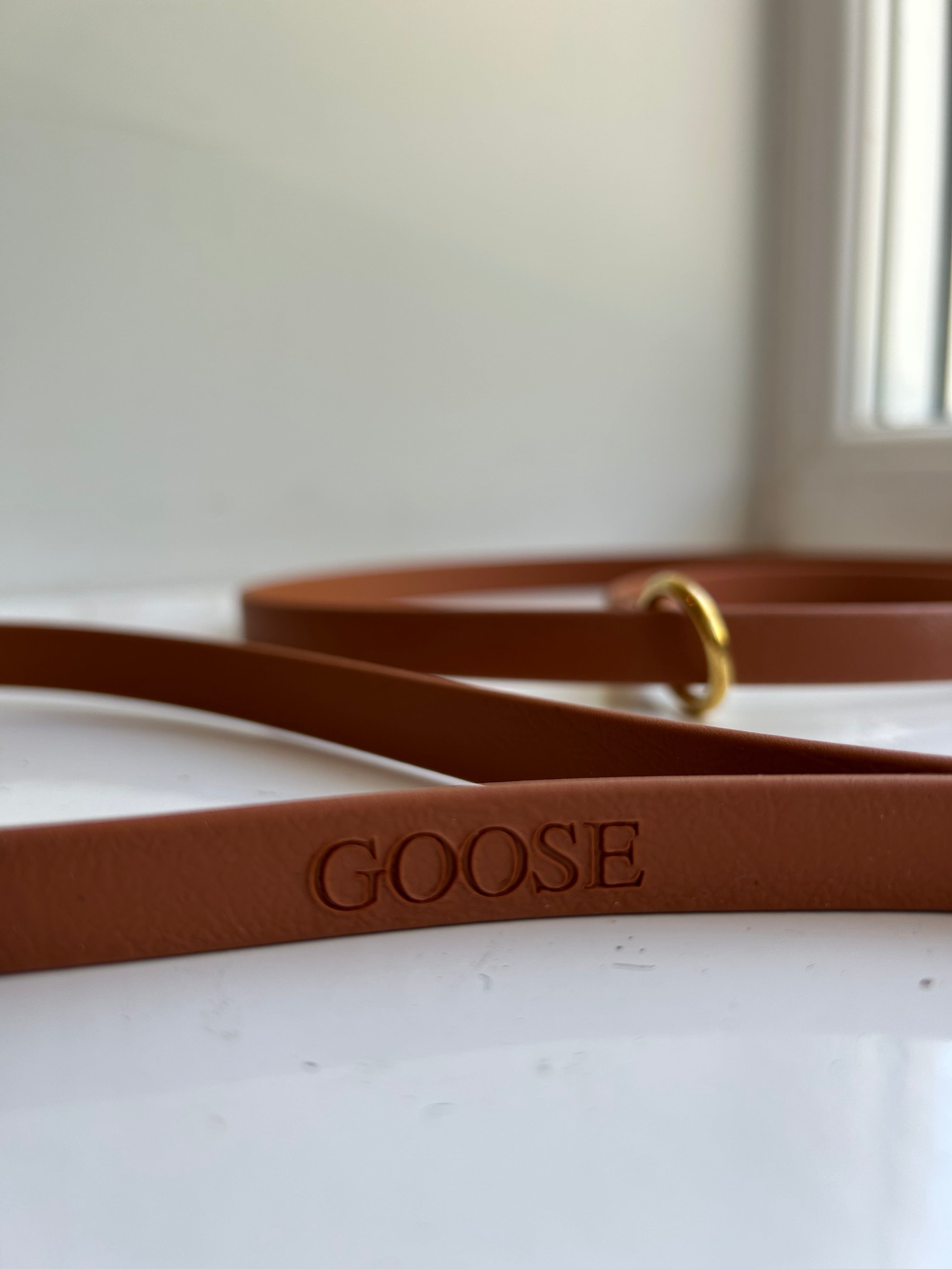 Slip Dog Lead | Training Leash | Waterproof