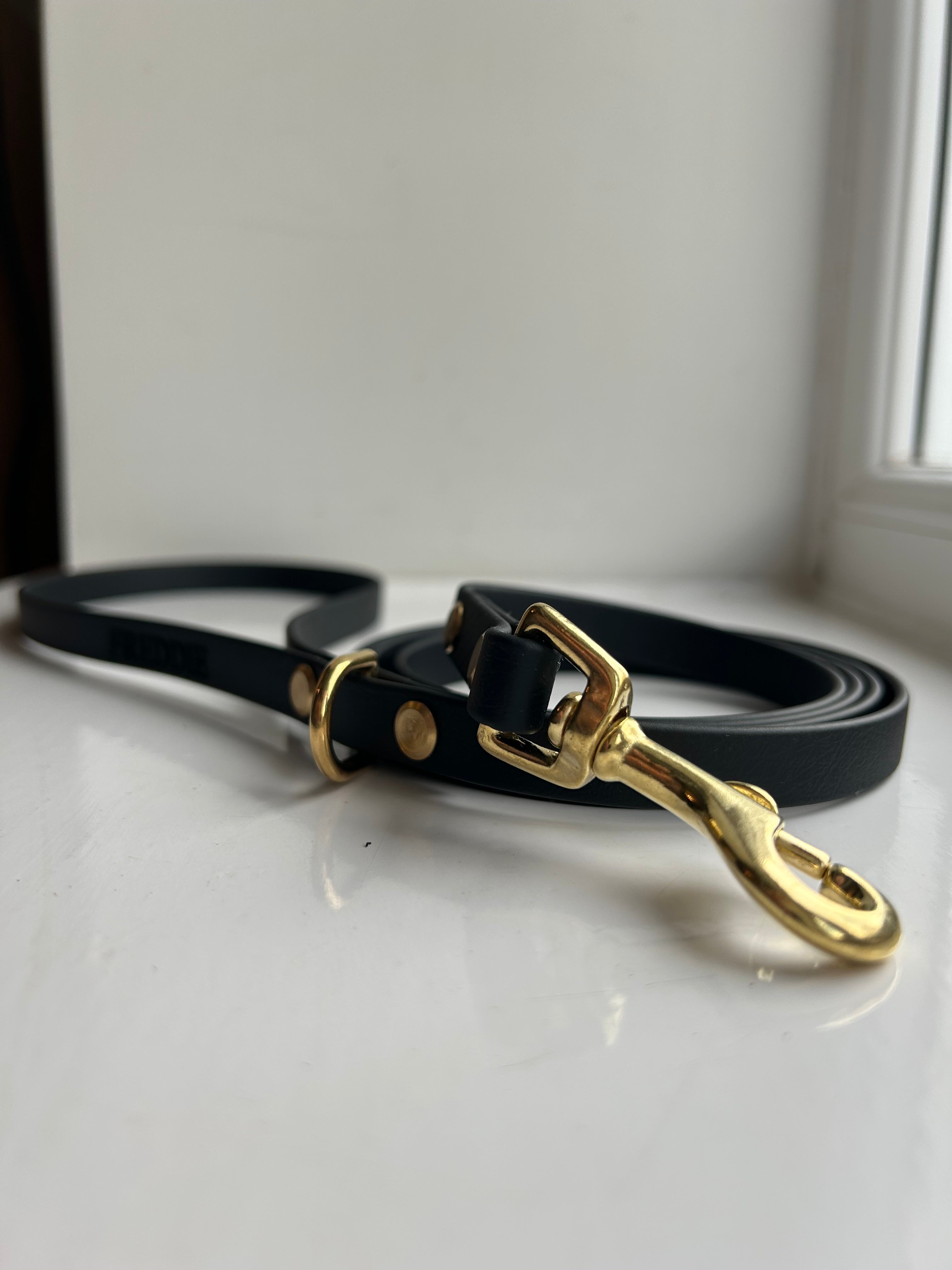 Lightweight Waterproof Dog Lead | Personalise Dog Name