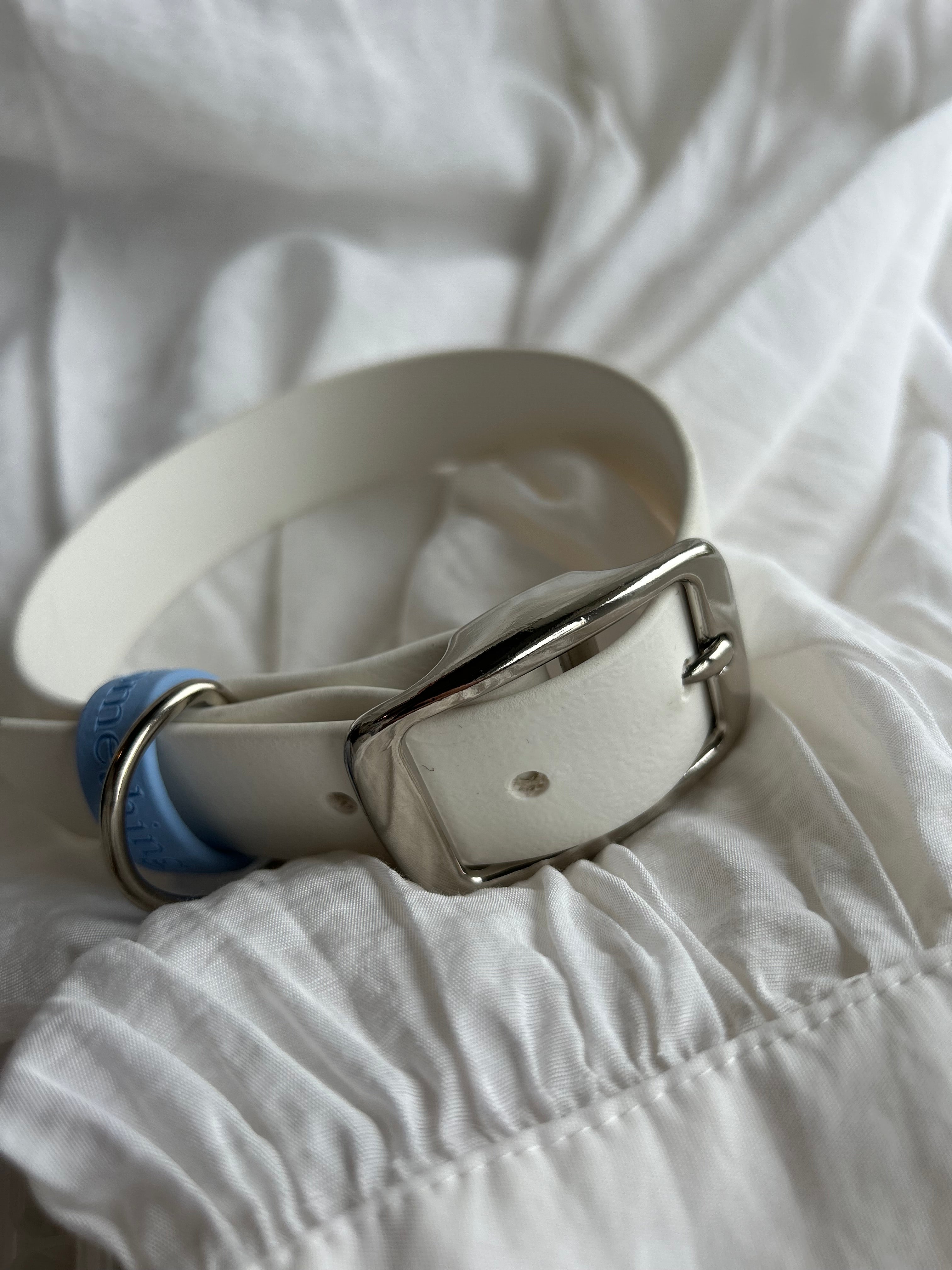 White Dog Collar - Wedding guest / Proposal