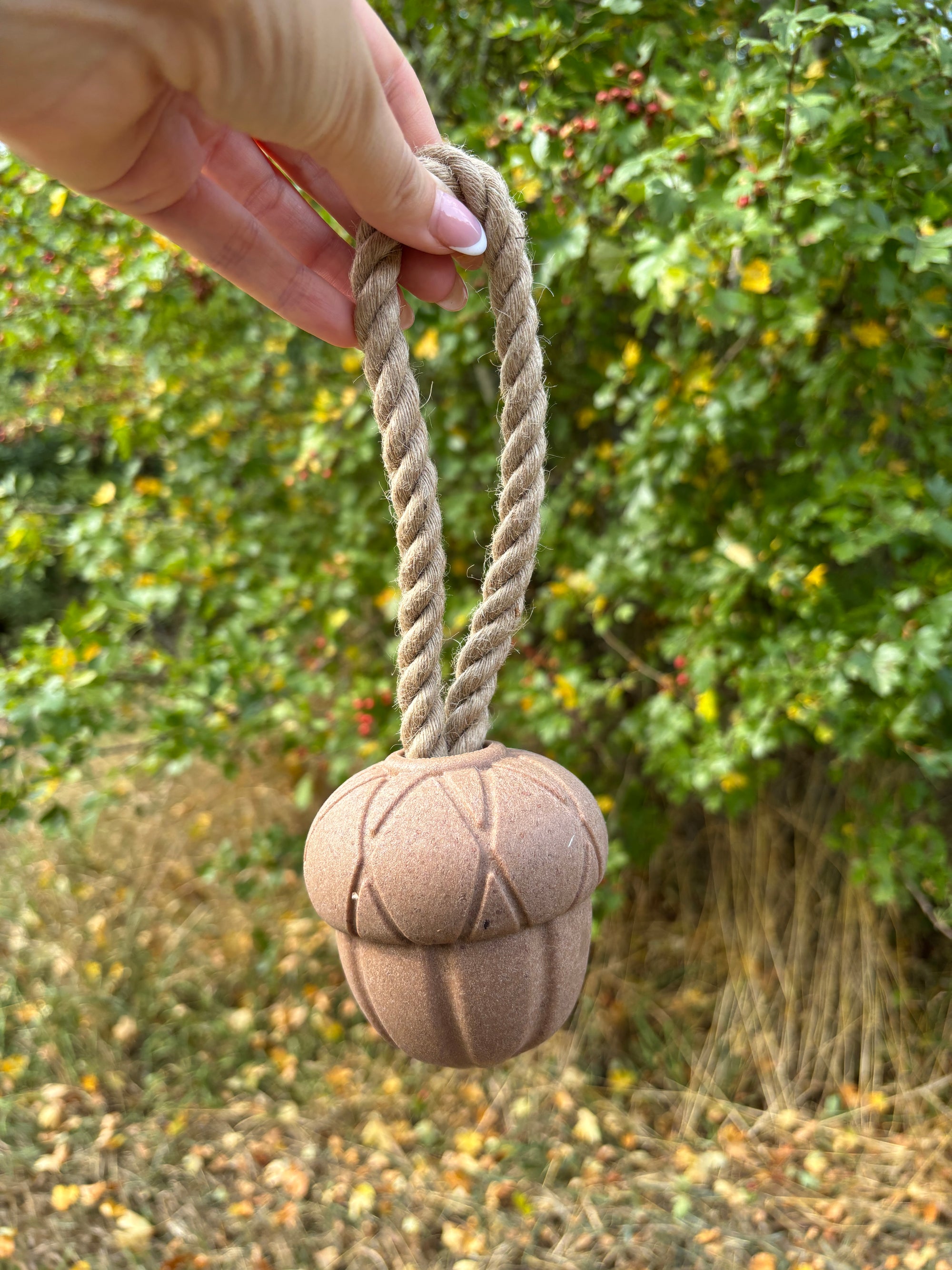 Autumn Dog Toys