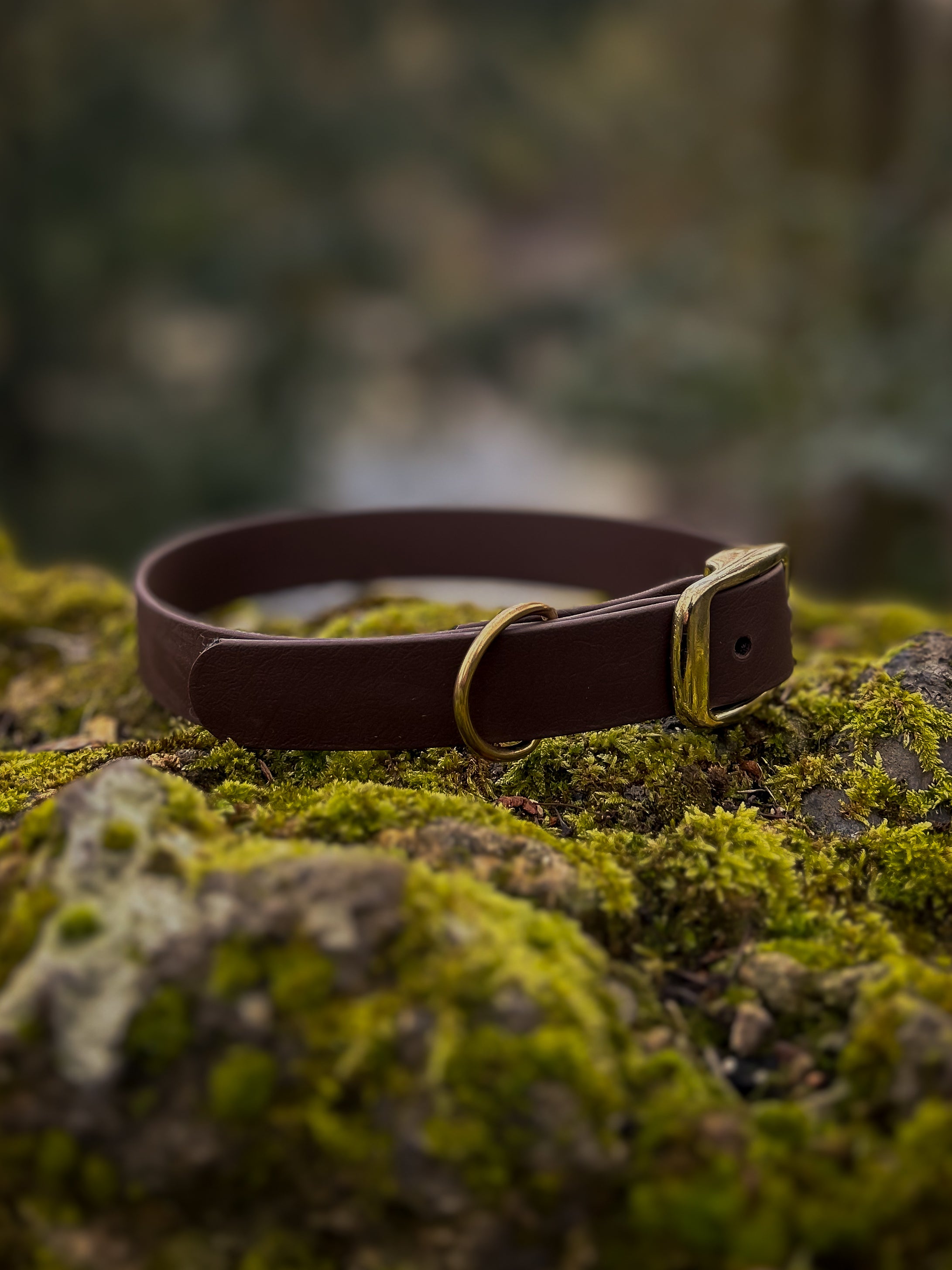 Classic Waterproof Dog Collar | Personalised Dog Name