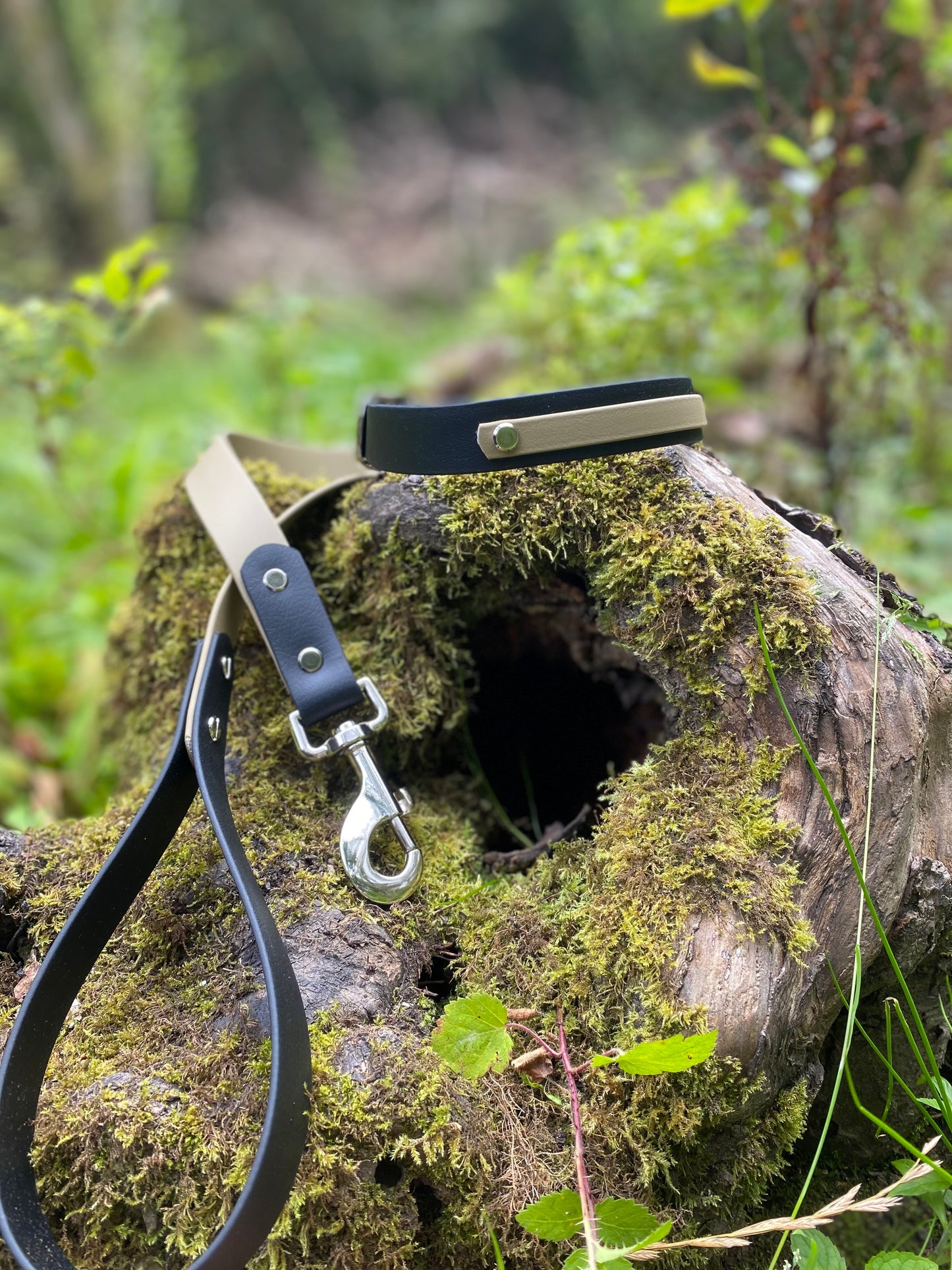 Dual Tone Dog Lead