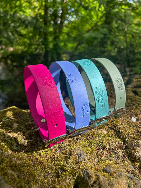 SS25 Colours | Embossed Waterproof Dog Collar
