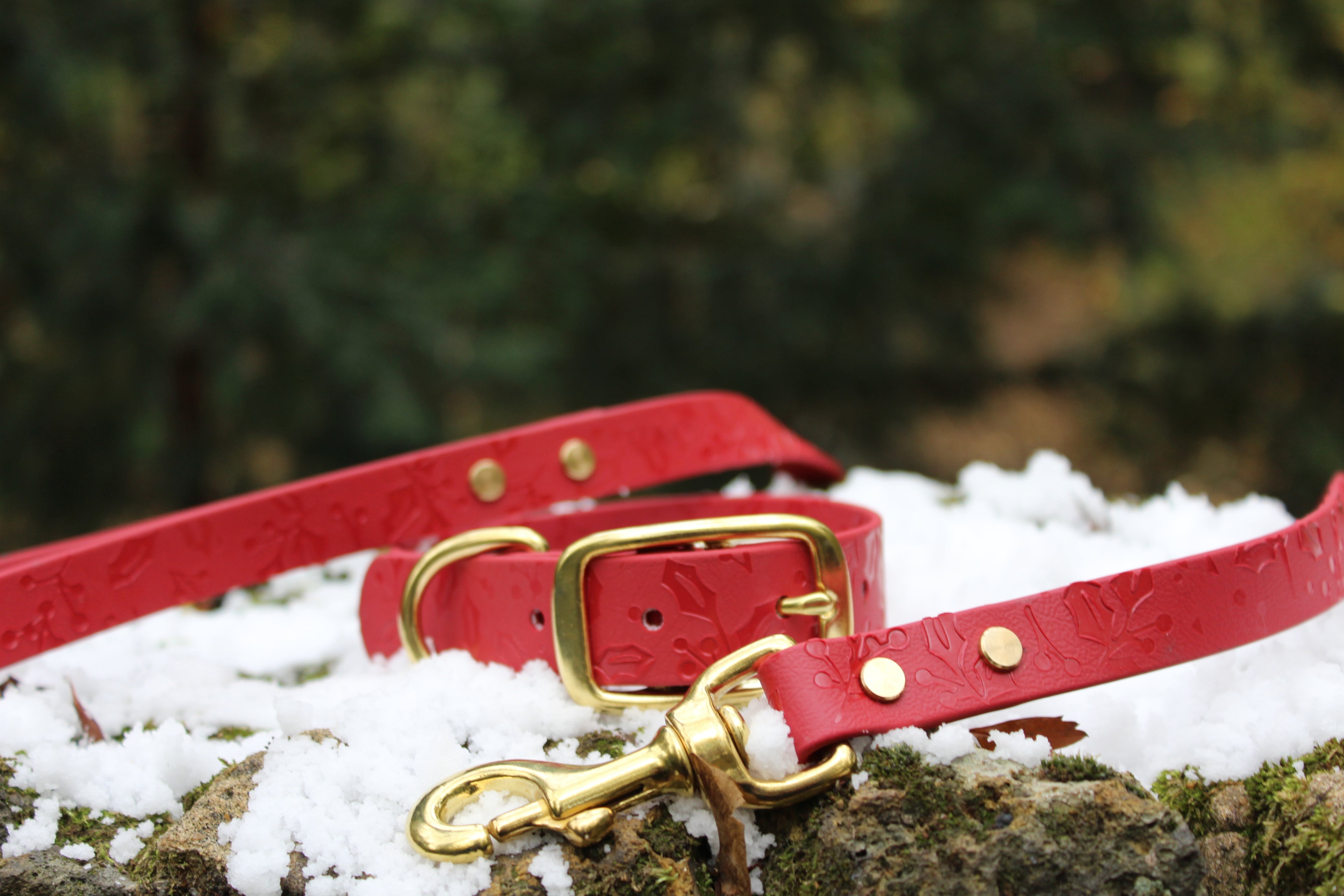 Winter Embossed Waterproof Dog 19mm Lead - PRE MADE