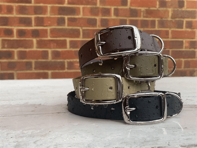 Classic Waterproof Dog Collar | Personalised Dog Name