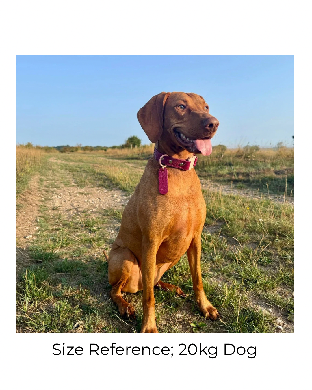 Waterproof Embossed Personalised Dog Tag