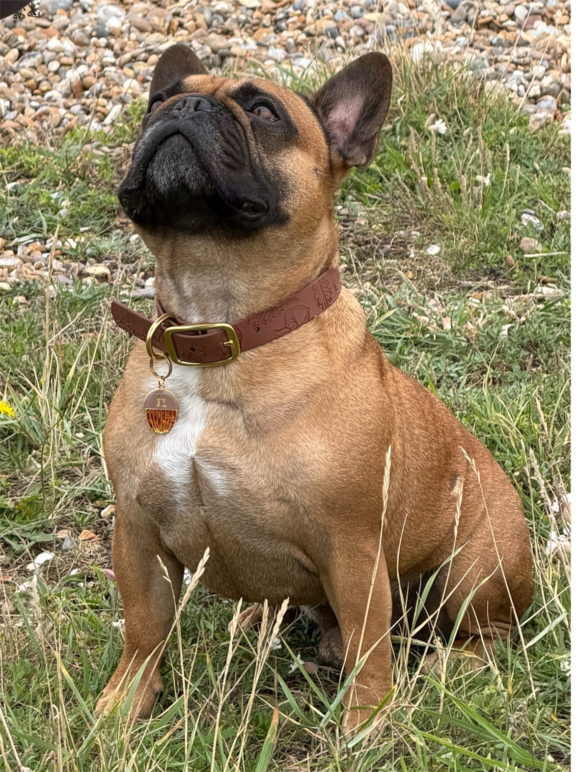 Autumn Embossed Waterproof Dog Collar