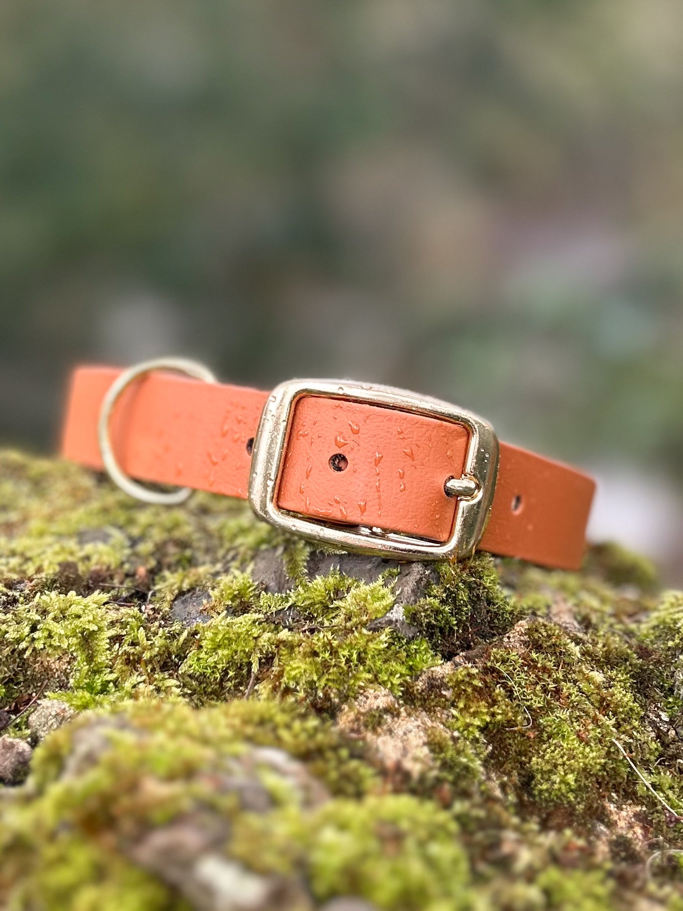 Classic Waterproof Dog Collar | Personalised Dog Name